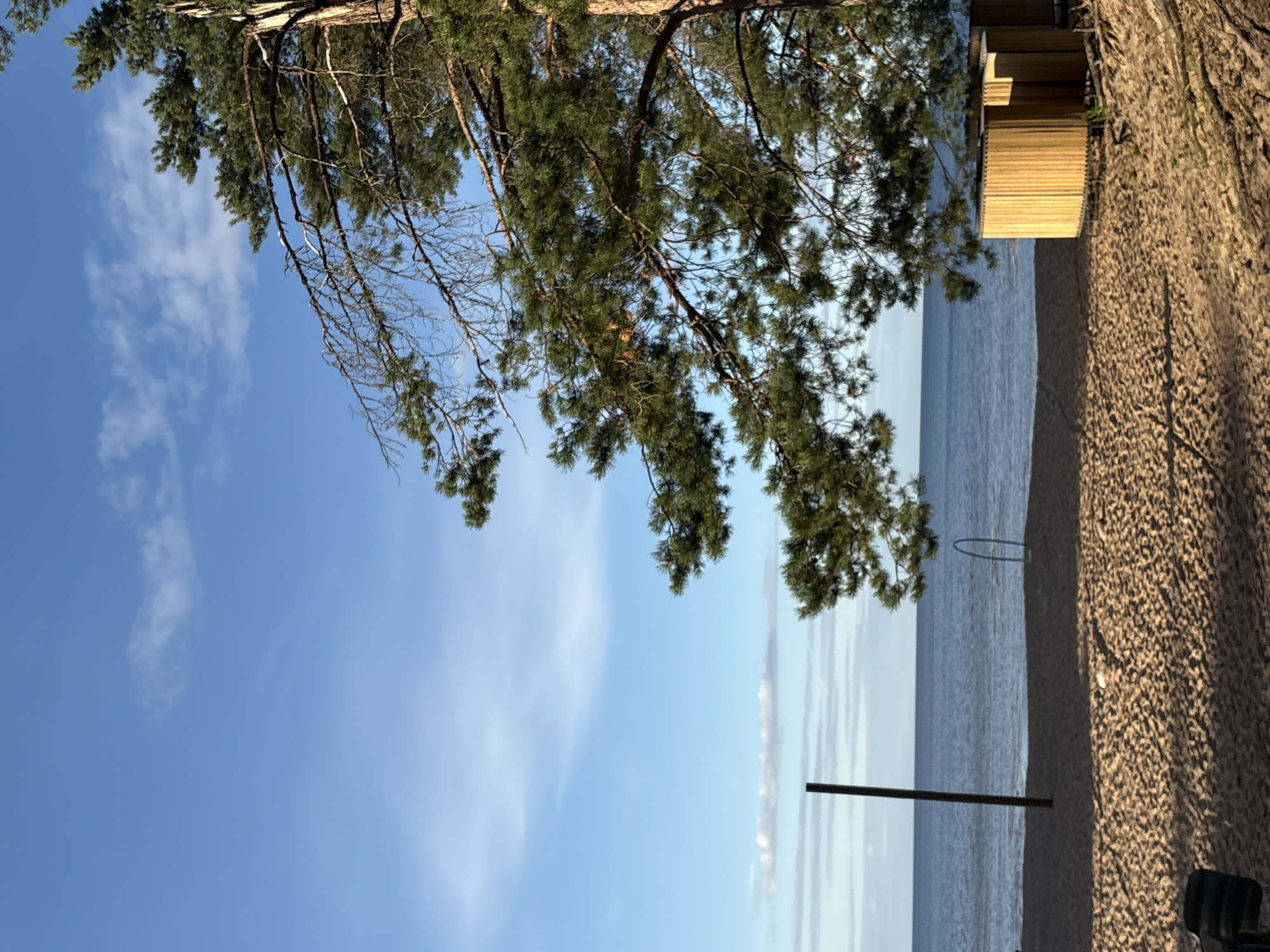 The image depicts a tranquil beach scene in Kokkorevo, Russia. A large pine tree with its branches extending towards the viewer dominates the right side of the frame. The sandy beach is mostly empty, with some shadows cast by unseen objects. In the distance, the calm blue water of a large body of water stretches to the horizon under a clear sky with scattered white clouds. A tall, dark pole stands on the left side of the beach, and a rounded wooden structure, possibly a changing room or shelter, is visible on the right. A curved metal object, possibly part of a swing set or play equipment, is partially submerged in the sand near the water's edge. The overall atmosphere is peaceful and natural.
