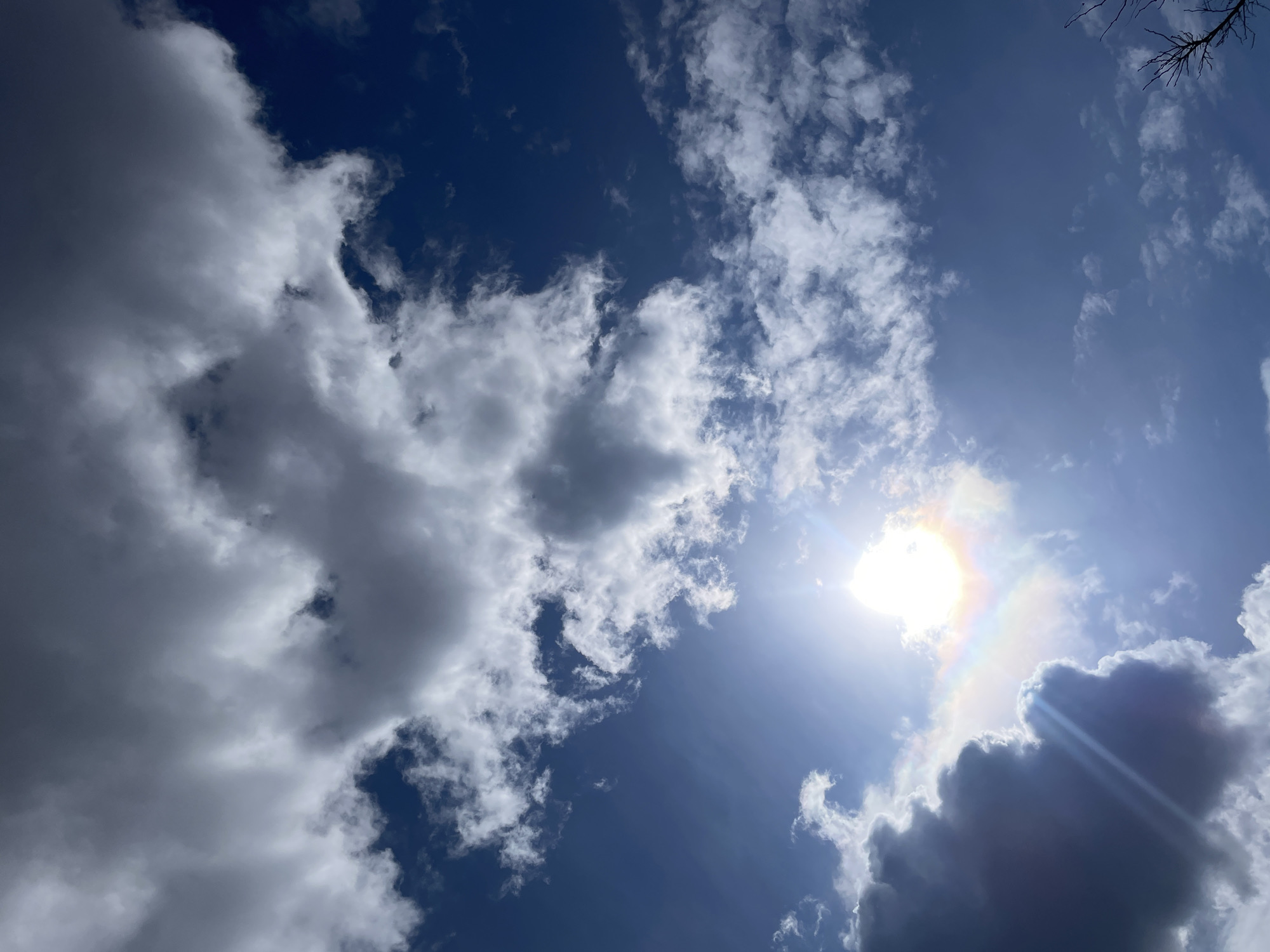 The image shows a bright blue sky with scattered clouds, partially obscuring the sun. A halo effect is visible around the sun. A few thin branches of a tree are visible in the upper right corner. The location cannot be confirmed as Yerevan, Armenia based on the image alone. No people, actions, or interactions are visible.