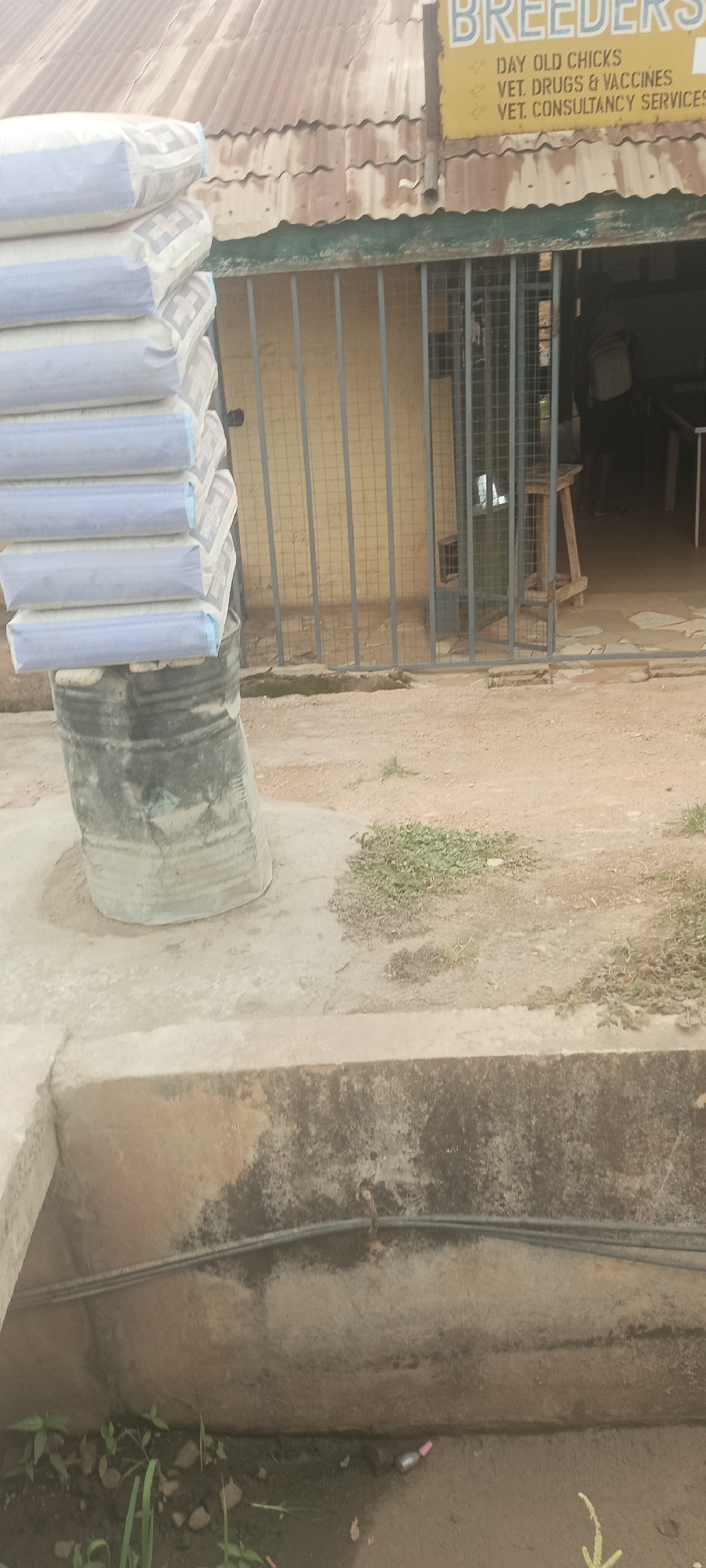 A stack of bagged feed, possibly for poultry, is propped against a dark metal drum in Bukuru, Nigeria. The bags are white with blue trim and appear to be uniformly sized. The drum is cylindrical and worn, with visible dirt and scuff marks. Behind the feed, a building with a corrugated metal roof has a yellow sign displaying text that includes "BREEDERS", "DAY OLD CHICKS", "VET. DRUGS & VACCINES", and "VET. CONSULTANCY SERVICES". The building's entrance is covered by a metal grate. The ground in front of the building is unpaved and appears to be a mix of dirt and gravel. In the foreground, a concrete structure with a drainage ditch is visible, containing dark water and some sparse vegetation. A single pink and silver object, possibly a small bottle or cap, rests in the ditch. The overall scene suggests a commercial establishment related to animal husbandry.