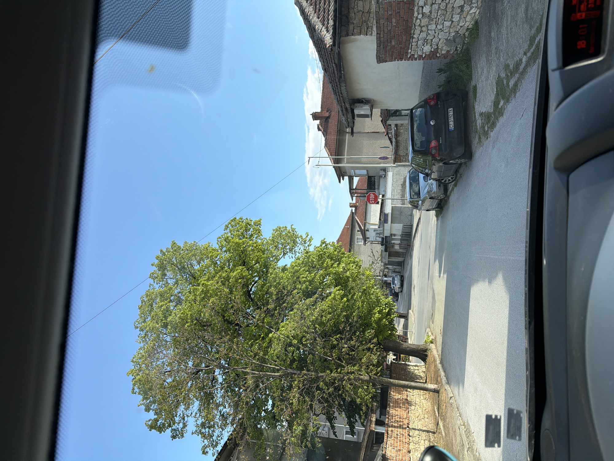 The image, taken from inside a vehicle, shows a street scene in Unknown, Unknown. A large, mature tree with green foliage dominates the left side of the frame, partially obscuring brick buildings and the sky. The street, grey asphalt, leads to a row of parked cars, including a black Volkswagen Golf with license plate "CT 3192 TK". A red "STOP" sign is visible on a pole near the parked vehicles. The sky is clear and blue with a few scattered clouds. The dashboard and window frame of the vehicle are visible, suggesting the photo was taken from the driver's seat.