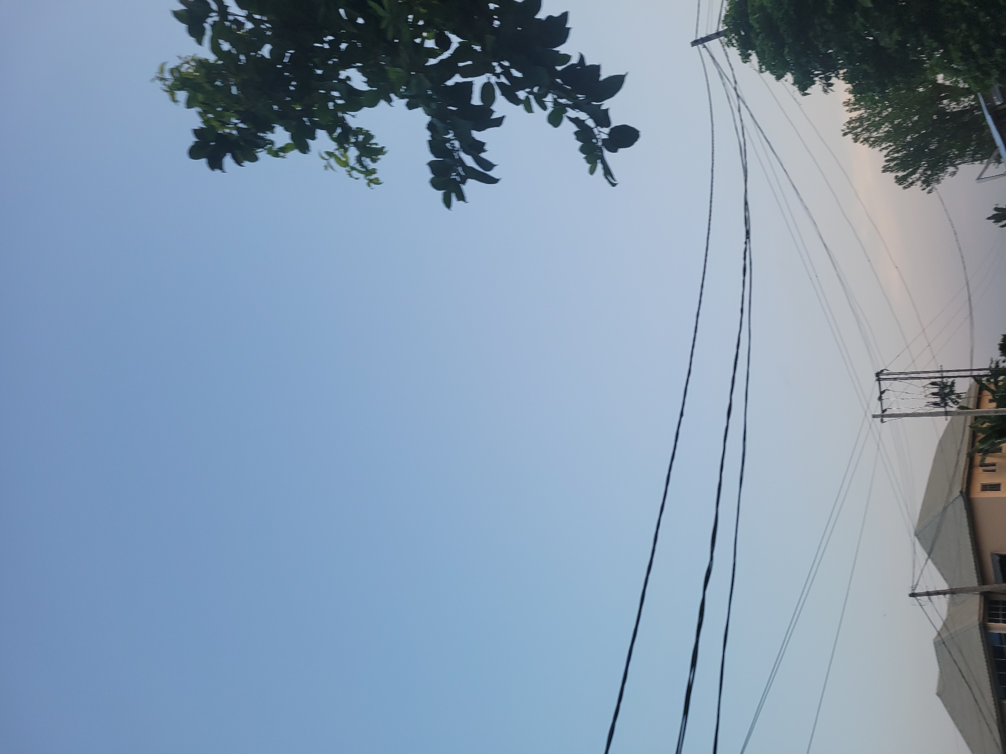 A low-angle outdoor medium shot shows an overcast sky with power lines crisscrossing in the foreground. The sky is a gradient of light blue and light pink hues, indicating either dawn or dusk. In the upper right corner, a tree with dark green leaves is visible. In the lower portion of the image, several buildings and a utility pole are present. The buildings are light-colored with peaked roofs. The utility pole has wires attached to it.
