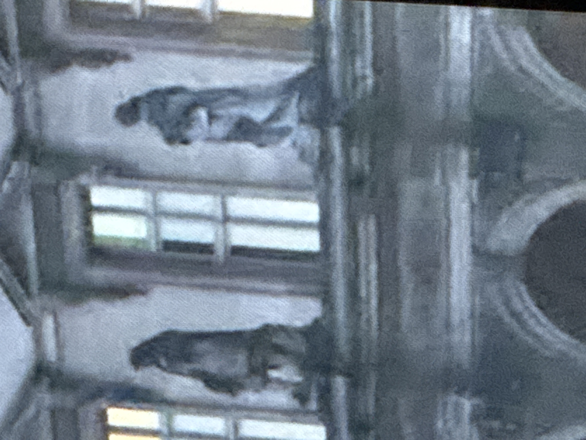 The image depicts two statues on a building, situated on a ledge above arched openings. The statues are dark and appear to be human figures in cloaks. They are positioned in front of windows with vertical panes. The overall scene is rendered in muted tones and has a textured, somewhat grainy quality. The architectural style suggests a historical building. The location is identified as Saratov, Russia.
