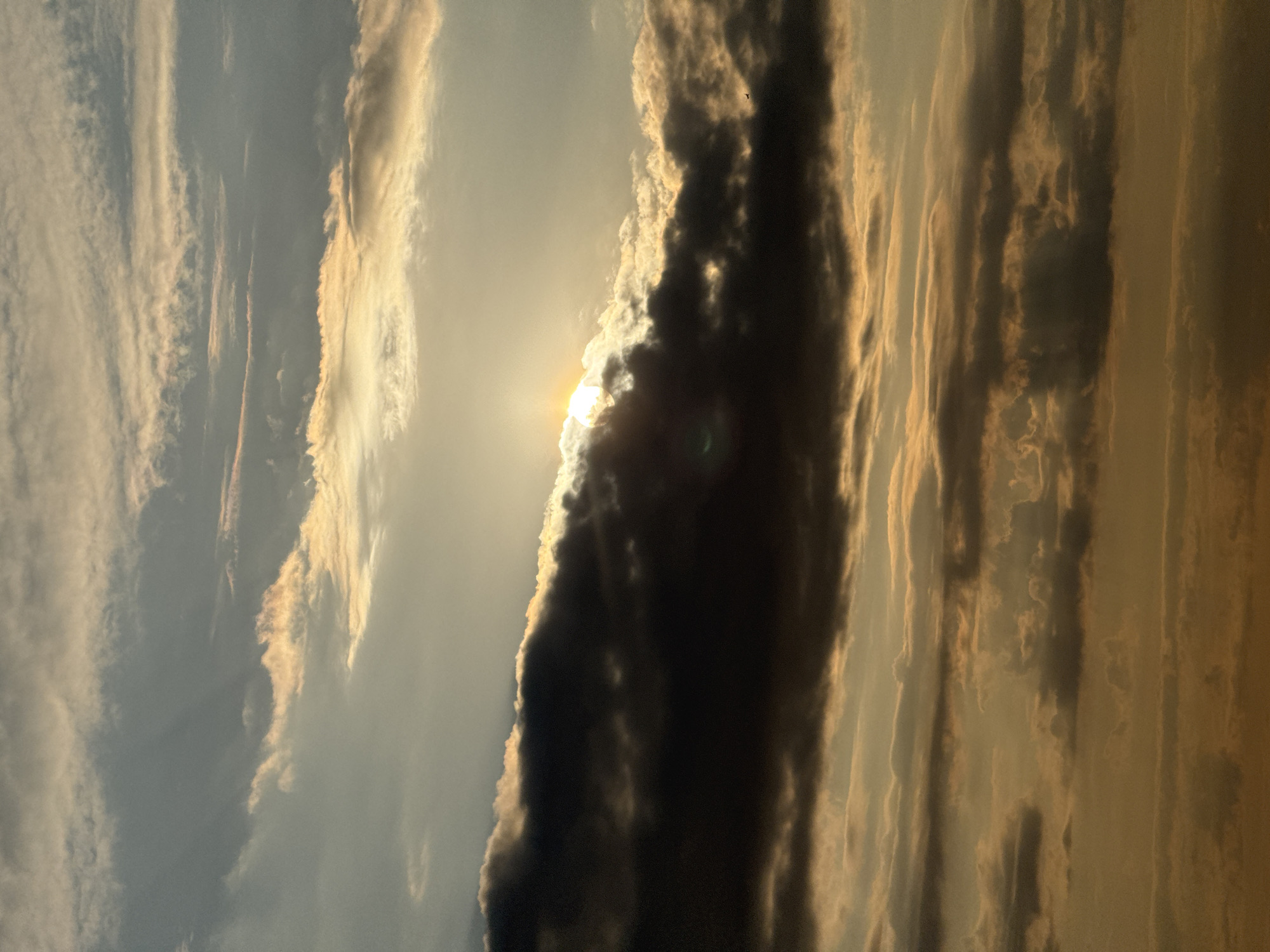 The image shows a dramatic sky filled with clouds during what appears to be either sunrise or sunset. The sun is partially obscured by dark, heavy clouds in the center of the frame, casting a warm, golden light through breaks in the lighter clouds above and below. The sky exhibits a range of colors from deep grays and browns in the dense clouds to soft yellows and whites where the sunlight filters through. There are distinct layers of clouds, some appearing wispy and others thick and textured. In the far right of the frame, a small dark silhouette of a bird or possibly an airplane is visible against the lighter sky. The overall impression is one of atmospheric grandeur. This image does not depict any recognizable landmarks or elements that would allow for pinpointing a specific location within the city of Saint Petersburg, Russia. The scene is solely focused on the sky and its cloud formations.