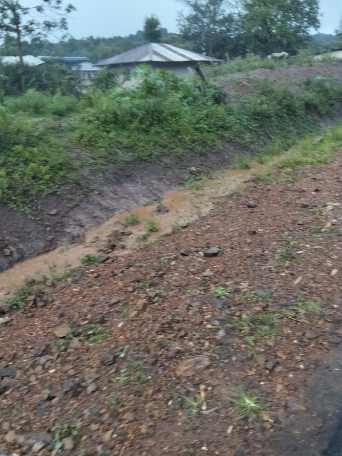 The image depicts an outdoor, unpopulated scene within Nyansiongo ward, Kenya, under an overcast sky. In the foreground, an unpaved pathway composed of reddish-brown soil and gravel extends diagonally from the lower center toward the upper right, with sparse green vegetation emerging from the ground. Adjacent to this pathway on the left, a muddy drainage ditch contains flowing, brownish-orange, sediment-laden water. The banks of this ditch are muddy and support green vegetation. The midground and background are characterized by dense green foliage, bushes, and trees. Partially obscured by this vegetation, a structure with light-colored walls and a corrugated metal roof is visible in the upper midground. Additional indistinct buildings are situated further in the distance amongst the trees. No human figures or animals are present.