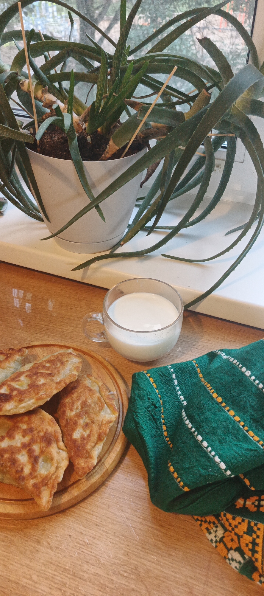 The image displays a close-up, eye-level shot of a rustic breakfast scene. In the foreground, a wooden plate holds several golden-brown, fried pastries. To the right, a clear glass mug is filled with a white liquid, likely milk or yogurt. Beside the mug rests a folded green cloth with colorful embroidered stripes and a geometric pattern. In the background, a potted aloe vera plant with long, spiky green leaves sits on a white windowsill, with a window and outdoor greenery visible through a screen. The lighting suggests it is daytime, with natural light illuminating the scene. The overall impression is one of a simple, home-cooked meal, possibly a breakfast or snack, set in a domestic environment. The presence of the aloe plant and the patterned cloth hints at a warm, possibly Eastern European, setting, consistent with the provided location context of Chaikovsky, Russia. There is no visible text in the image.