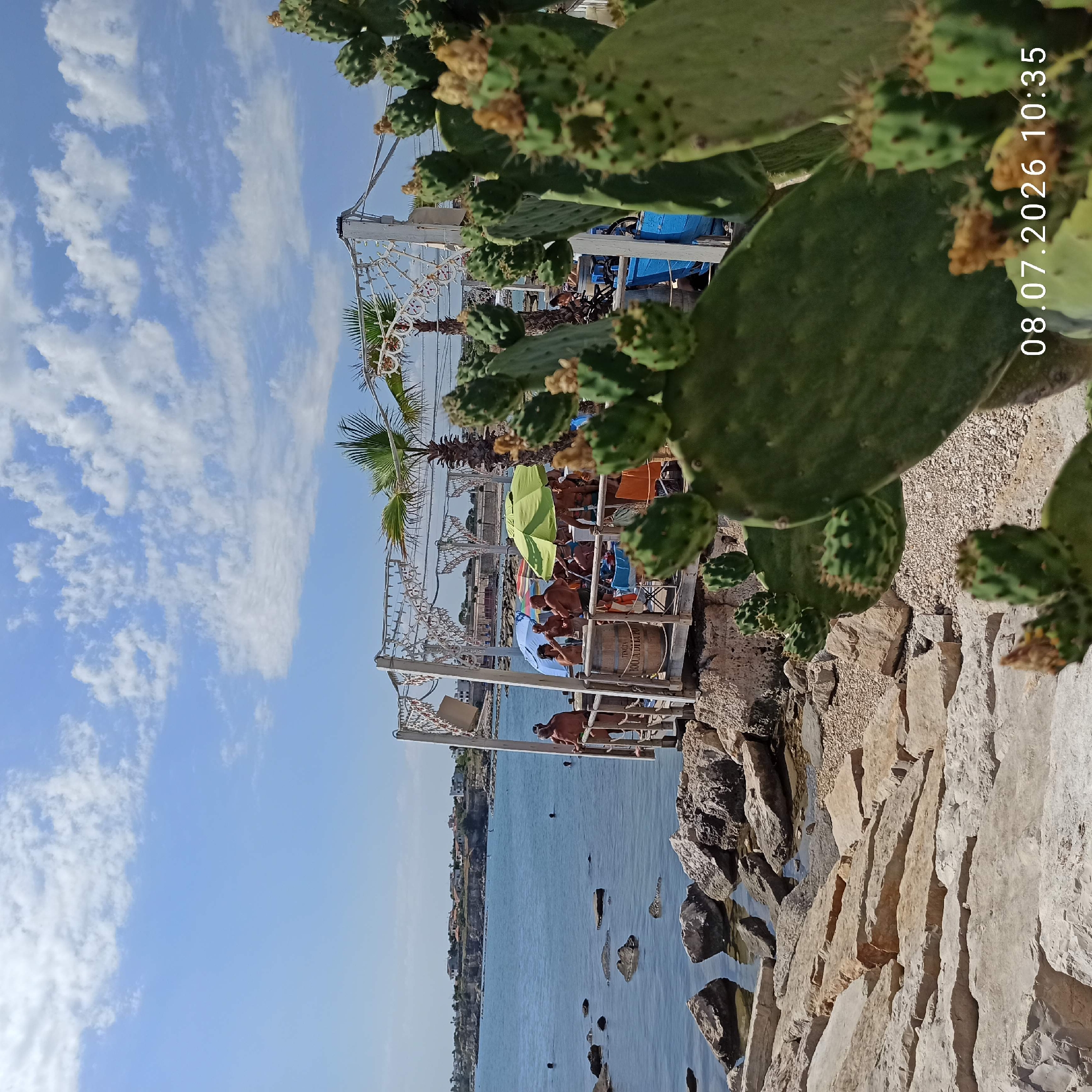 The image depicts a sunny day scene at a beachside establishment in Trani, Italy, with a focus on a prickly pear cactus in the foreground. In the background, a wooden platform juts out over the water, hosting several people enjoying the day. Some are standing, while others are seated under umbrellas. A prominent green umbrella is visible, as are blue and white umbrellas. A wooden barrel with the inscription "TENUTA BOCCA DI LUPO" is placed on the platform. Palm trees add to the Mediterranean atmosphere. The water is calm and clear, with rocks scattered along the shore and in the sea. Beyond the immediate area, a coastline with buildings is visible in the distance. The sky is a vibrant blue with scattered white clouds. The date and time stamp "08.07.2026 10:35" is present in the lower right corner of the image.