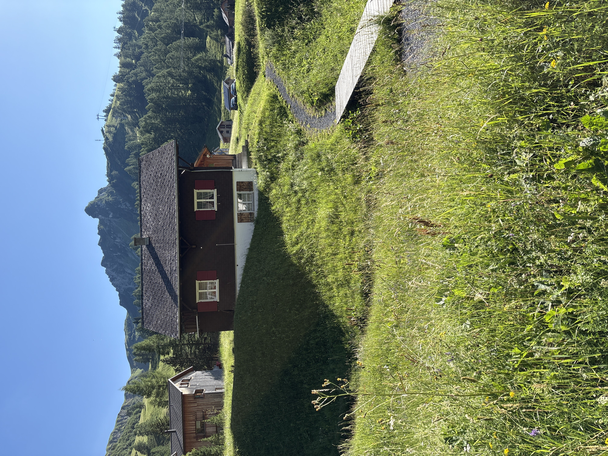The image depicts a scenic alpine village in Malbun, Liechtenstein. A traditional wooden house with red shutters and a dark tiled roof is prominently featured in the foreground, situated on a grassy slope. A gravel path with a small wooden bridge winds through the lush green meadow in front of the house. In the background, more wooden buildings and dense evergreen trees dot the rolling hills, leading up to rugged mountain peaks under a clear blue sky. Ski lifts are visible on one of the distant mountains, suggesting the location is a year-round resort. The sun casts strong shadows, indicating a bright, clear day. There are no people or animals visible in the image.