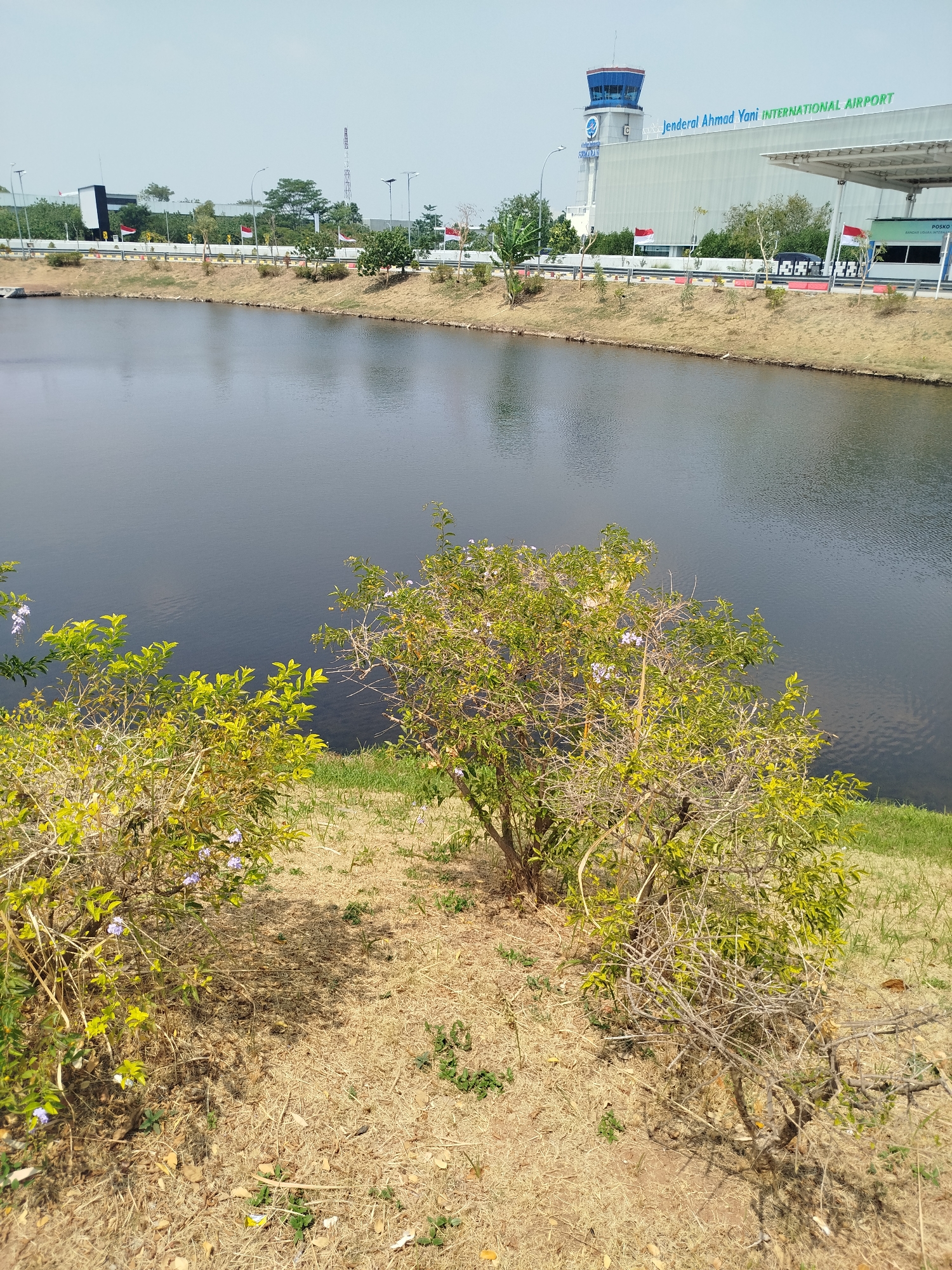 The image depicts a scene at Jenderal Ahmad Yani International Airport in Semarang, Indonesia. In the foreground, there is dry, brown grass and two low-lying bushes with sparse green leaves and small purple flowers. A dark, calm body of water, likely a canal or pond, stretches across the middle ground, reflecting the sky. In the background, the modern architecture of the airport terminal building is visible, with its distinctive control tower. The building is light-colored and features large windows. The text "Jenderal Ahmad Yani International Airport" is clearly visible in green lettering on the facade of the building. Several Indonesian flags are displayed on poles along a fence line separating the water from the airport grounds. The sky is a clear, bright blue, indicating a sunny day. There are no people visible in the image.