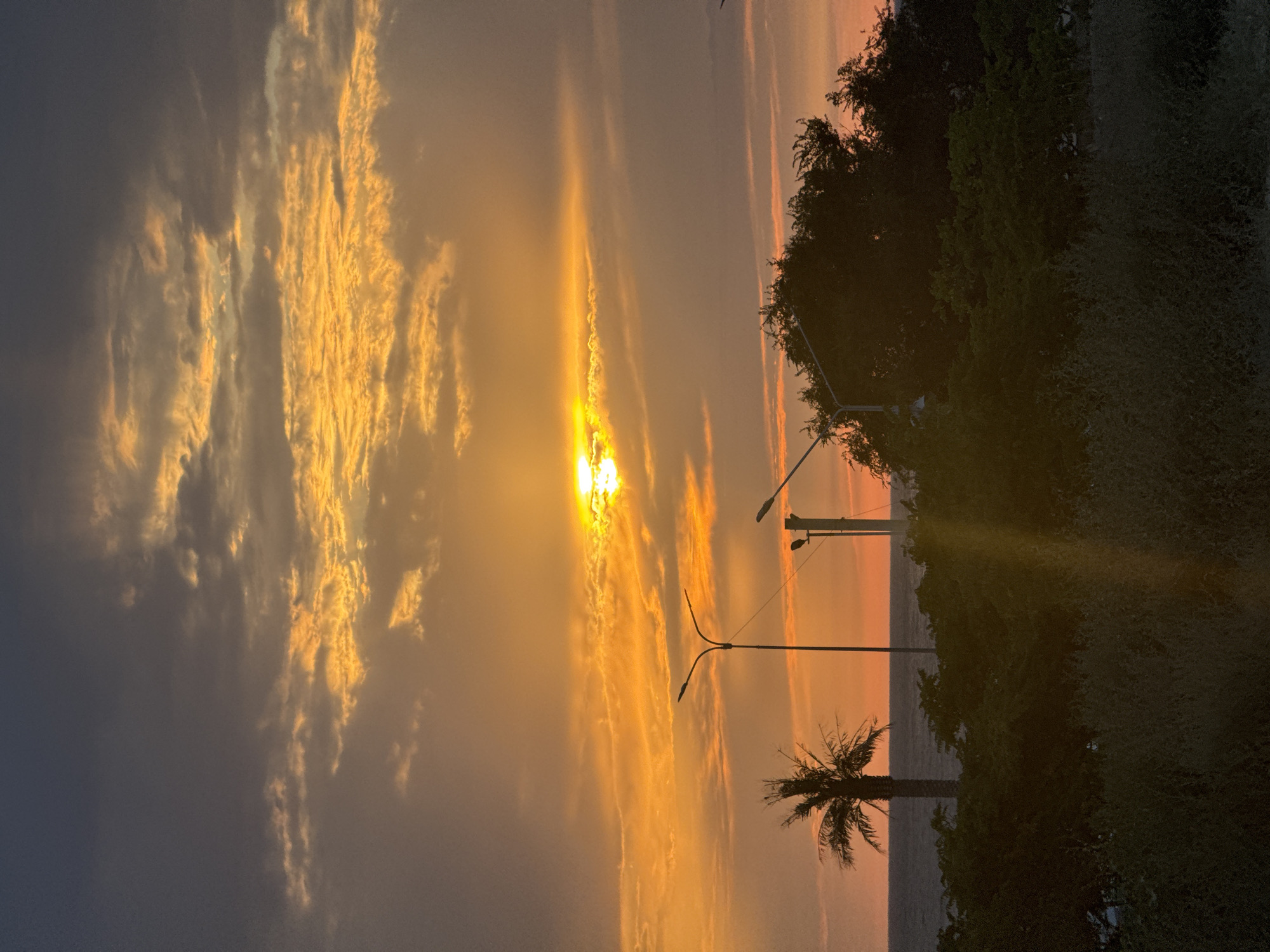 The image depicts a sunset over the Caspian Sea in Aktau, Kazakhstan. The sky is filled with dramatic clouds, illuminated by the setting sun, casting a warm orange glow across the scene. Silhouetted against the vibrant sky are a few palm trees, streetlights, and dense vegetation in the foreground. The sea is visible as a dark expanse between the horizon and the land. The overall impression is one of natural beauty and tranquility.