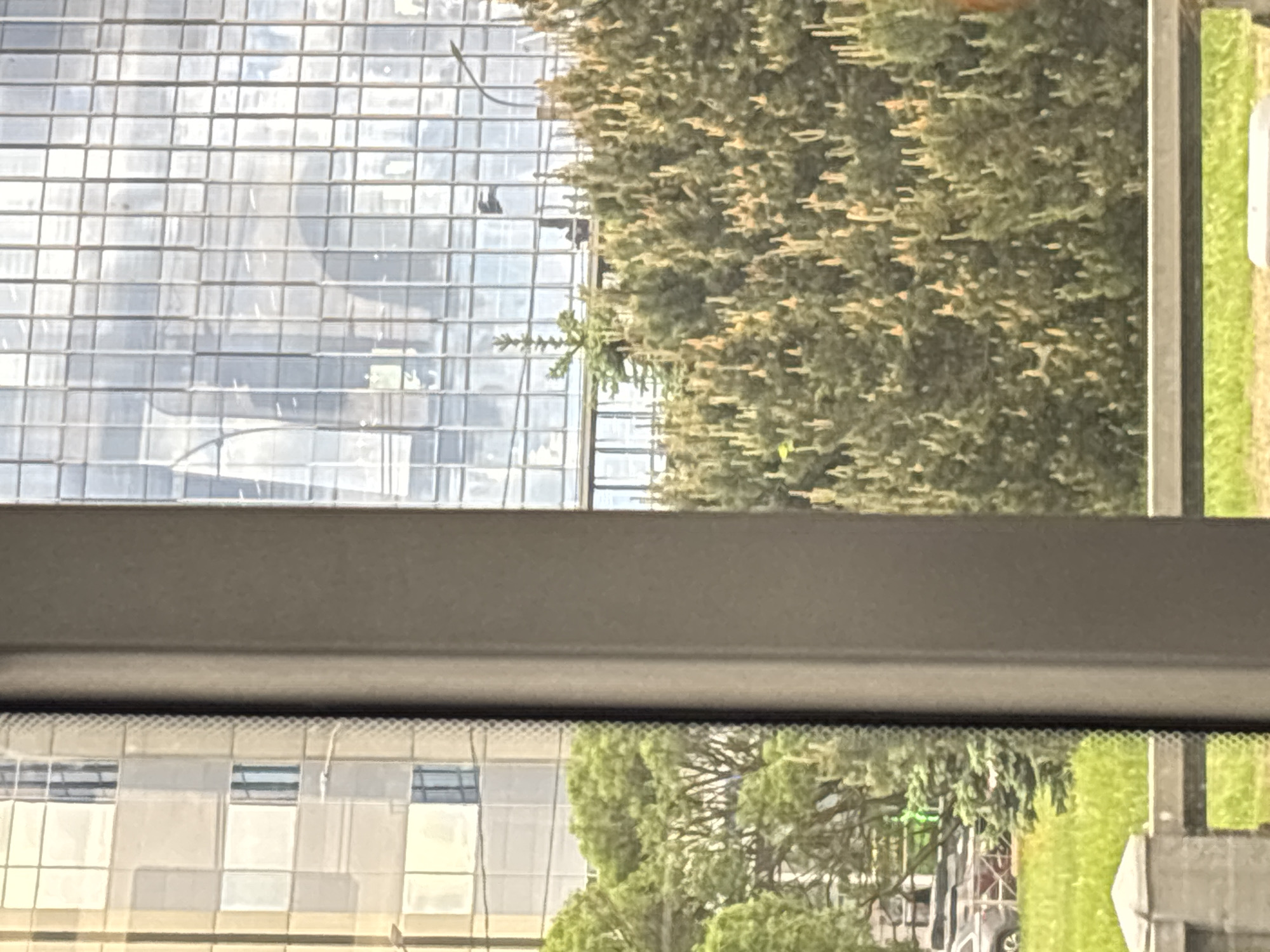 The image shows a view through a window, likely inside a building. The window frame is a prominent gray bar running horizontally across the middle of the frame. Outside the window, the top half of the scene is dominated by a large building with a grid-like facade of many small windows. Next to the building is a dense, green tree. The right edge of the frame shows some green grass and a portion of what appears to be a vertical concrete structure or pillar. Below the window frame, the scene is similar, showing another building with windows, more green trees, and a glimpse of a street scene. The location is an urban environment, but the specific city and details are not discernible from the image.