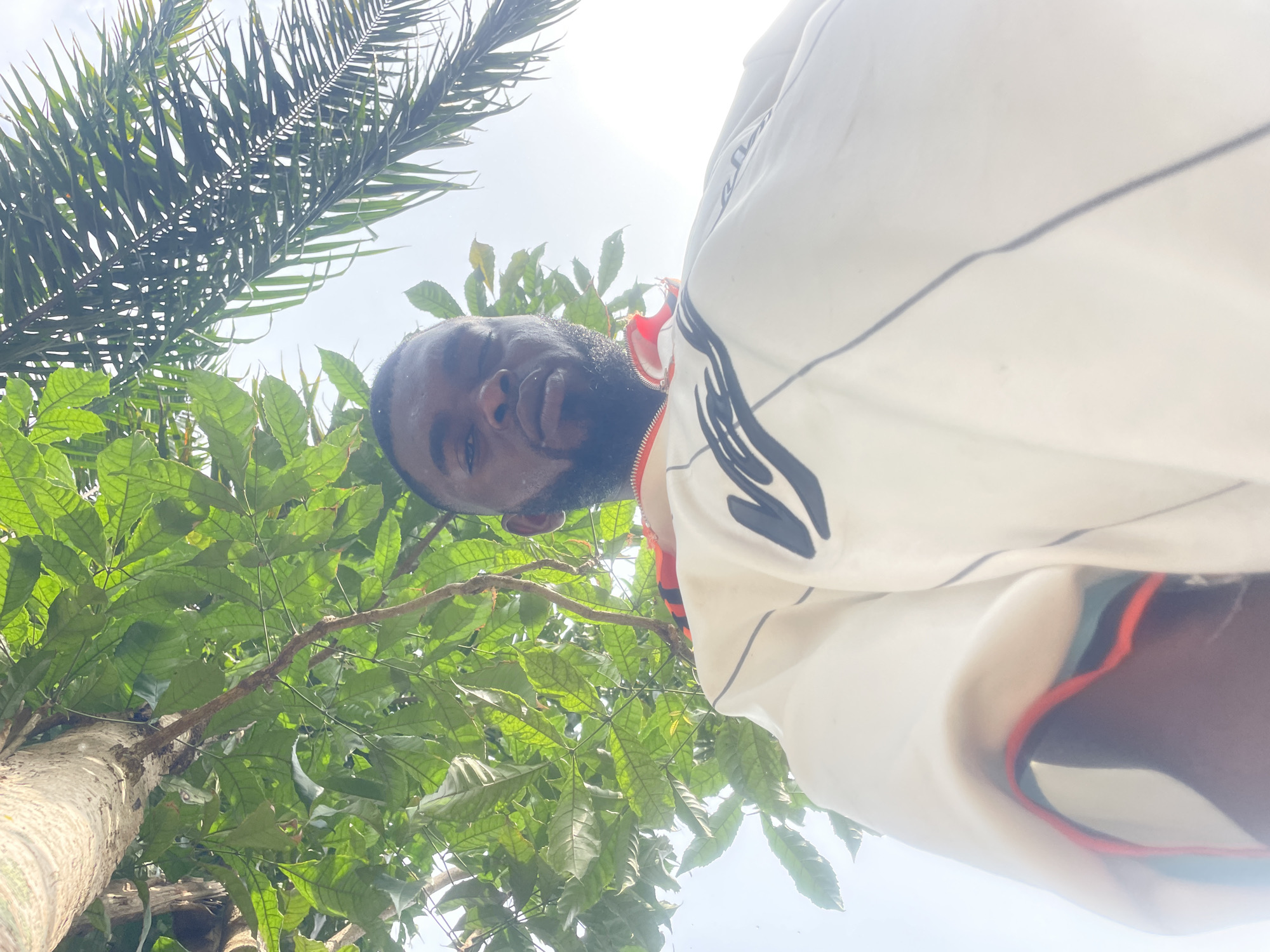 A low-angle shot shows a man with dark skin and a beard standing under trees with dense green foliage. The man is wearing a white shirt with black and red details. Above the trees, a bright sky is visible. The environment appears to be outdoors, with a tree trunk visible in the lower left and palm leaves visible in the upper left. The location is Ogbe, Nigeria.