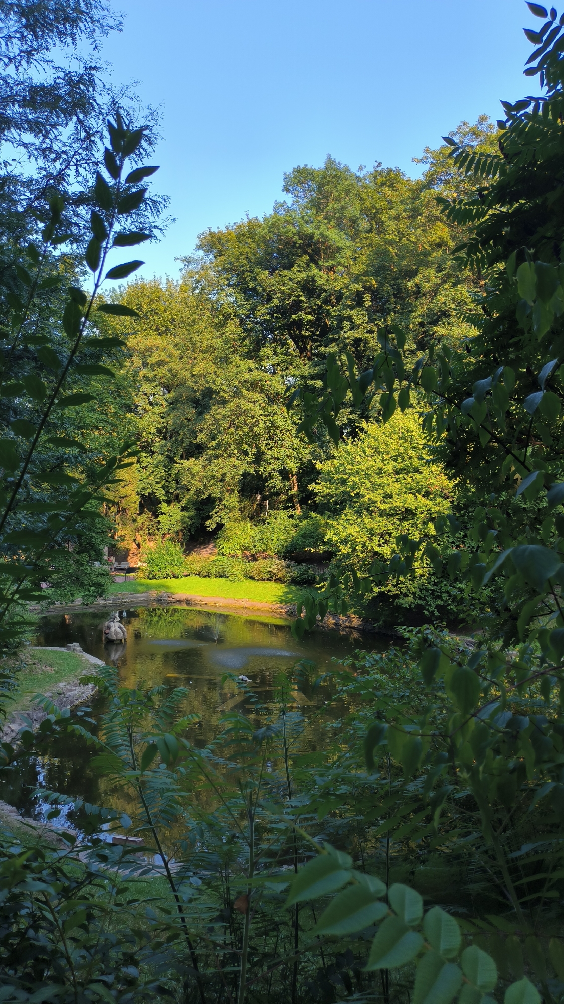 The image depicts a serene park scene with a pond surrounded by lush greenery. The pond's surface reflects the surrounding trees and the clear blue sky. A small fountain can be seen in the middle of the pond, creating gentle ripples. The banks of the pond are lined with grass and some decorative rocks. In the background, dense trees create a natural backdrop, with sunlight filtering through their leaves, illuminating some of the foliage with a warm glow. The foreground is dominated by the dark green leaves of plants, framing the view of the pond and the park beyond. This image was taken in Stryiskyi Park, Lviv, Ukraine.