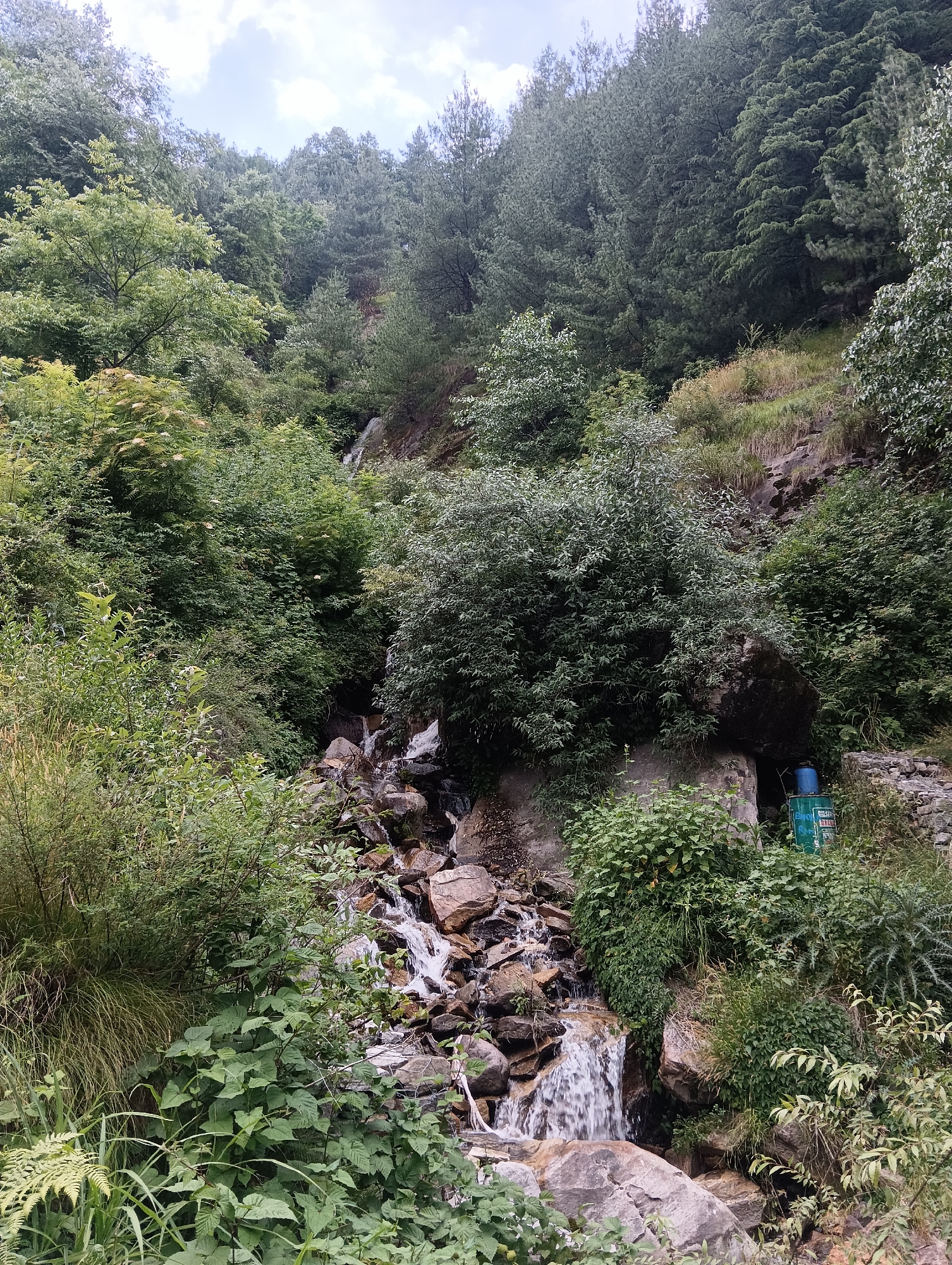 This media file is a vertical, eye-level, medium shot of a lush, green mountain slope with a small waterfall. The scene depicts a natural landscape with dense vegetation and rocky terrain. The waterfall cascades over moss-covered rocks, its white water creating a blurred effect due to movement.
The subjects are primarily the natural elements of the scene: trees, bushes, grass, rocks, and the waterfall. There are no people visible. On the right side of the image, a blue barrel and a green crate are placed near a rocky outcrop, suggesting human presence in the area, possibly for water collection or storage.
The setting is a mountainside, likely in a humid or damp environment, given the abundant greenery and the presence of the waterfall. The sky is overcast with clouds, indicating a cloudy or possibly rainy day. The time of day is difficult to ascertain precisely, but the diffused light suggests it is daytime, perhaps morning or afternoon. The overall emotion conveyed is one of natural beauty and tranquility, with a hint of ruggedness from the rocky terrain and the flowing water.
No text is clearly legible in the image, although there might be some on the green crate, it is too blurry to read. The location context provided is Vashisht, India, which aligns with the visual characteristics of a mountainous, vegetated area.