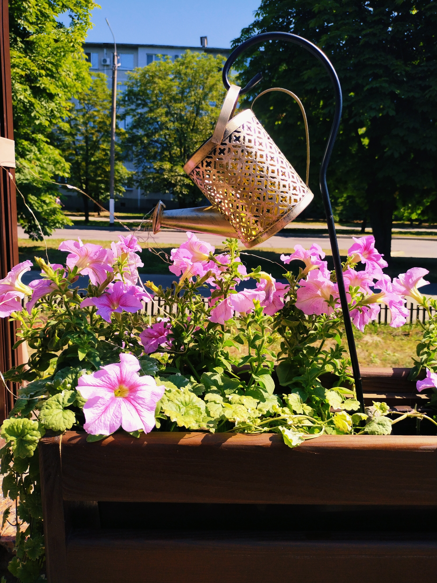 A close-up shot captures a wooden planter box overflowing with vibrant pink petunias. The flowers, in various stages of bloom, are lush and green. A decorative watering can, made of gold-colored metal with an intricate lattice pattern, hangs from a curved black metal pole, positioned over the flowers. Delicate string lights are draped around the watering can and among the plants, adding a whimsical touch. In the background, trees and a multi-story building are visible under a clear blue sky, suggesting an urban outdoor setting in the city of Horishni Plavni, Ukraine. The lighting indicates it is daytime, likely morning or afternoon, with the sun casting distinct shadows.