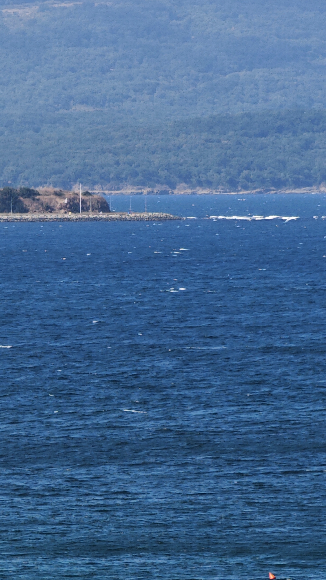The image shows a wide expanse of blue water with moderate waves under a clear sky. In the background, a green, tree-covered hillside rises steeply, meeting the horizon. Along the shoreline, a rocky, brown peninsula juts out into the water, with scattered structures including poles and what appears to be a small building. The water is disturbed by white-capped waves and some small, dark objects are visible on its surface. The overall impression is of a coastal scene with a natural landscape.