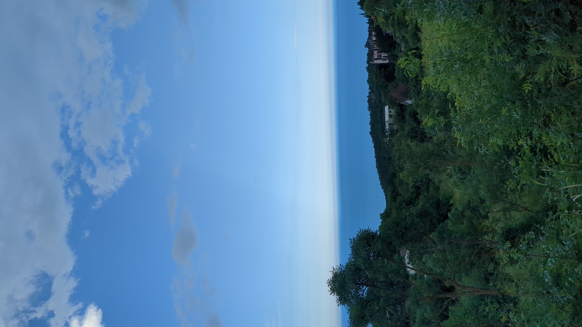 An outdoor, vertical, high-angle shot shows a view of the Black Sea from a hillside overlooking Kiparisnoe, Ukraine. The sky is a pale blue with scattered white clouds. Below the sky, the sea is a deep blue, meeting the horizon. The foreground and middle ground are dominated by lush green trees and foliage. A few houses are visible nestled among the trees on the hillside. The lighting suggests it is late afternoon or early evening.