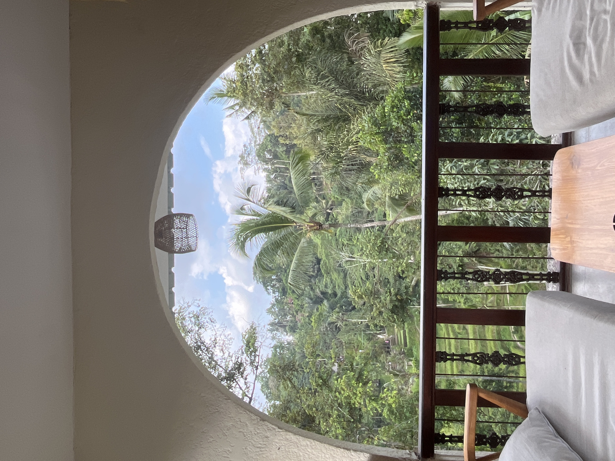 This image presents a serene tropical landscape viewed from a balcony or terrace through an elegant arched opening. Although rotated, the scene depicts a panoramic vista. On the left, a light-colored, textured wall forms the architectural arch, from which a decorative, woven light fixture or lantern hangs.
Beyond the arch, a vibrant and dense tropical environment stretches out under a bright blue sky dotted with scattered white clouds, suggesting clear daytime weather, possibly late morning or early afternoon. The landscape is dominated by lush green foliage, featuring numerous tall palm trees and other tropical plants. In the distance, faint glimpses of what appear to be terraced rice fields can be discerned through the trees, a distinctive feature of the Tegallalang region in Indonesia.
To the right, a dark wooden balcony railing with intricate, ornate dark metal scrollwork details is visible. Parts of outdoor furniture are also present, including a light gray cushion on a chair or sofa, a wooden table, and a lighter wooden armrest from another seating arrangement, indicating a comfortable outdoor space.
The image captures a tranquil and picturesque setting, emphasizing natural beauty and relaxation. No people are visible, and there is no visible text.