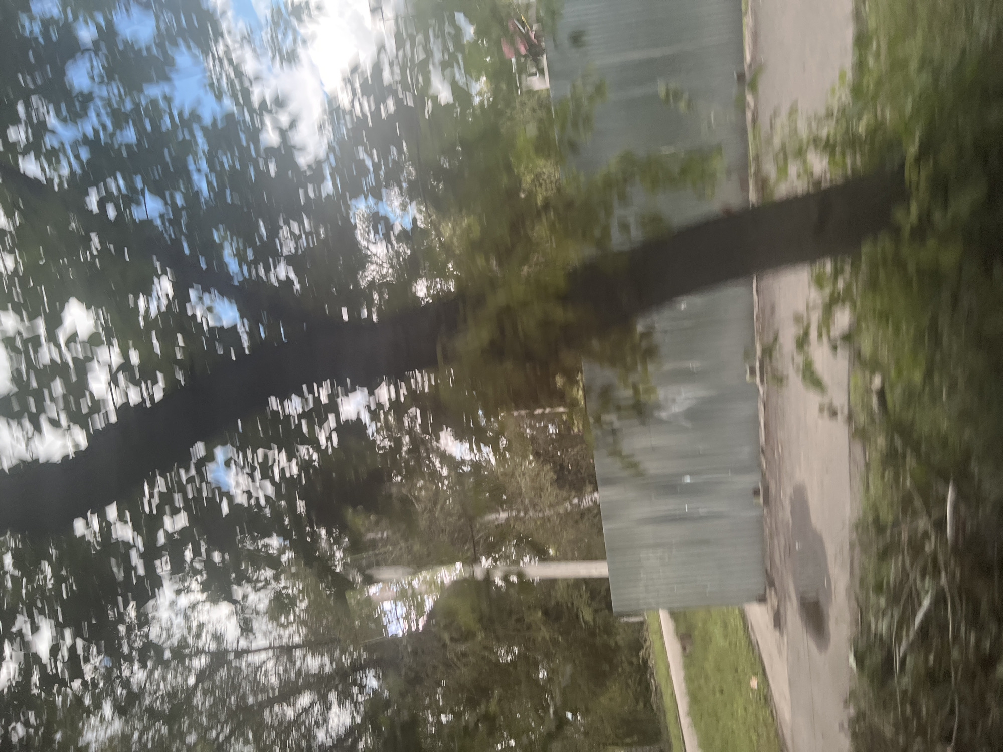 The image, captured in Ulyanovsk, Russia, depicts a blurred view of a tree trunk in the foreground, with its foliage creating a dappled effect against a bright sky. Beyond the tree, a corrugated metal fence runs horizontally across the mid-ground. To the left of the fence, a paved surface is visible, appearing to be a road or walkway, with a patch of green grass to its left. The background reveals more trees and a glimpse of buildings, suggesting an urban or suburban environment. The overall impression is that the photo was taken from a moving vehicle, resulting in the motion blur.