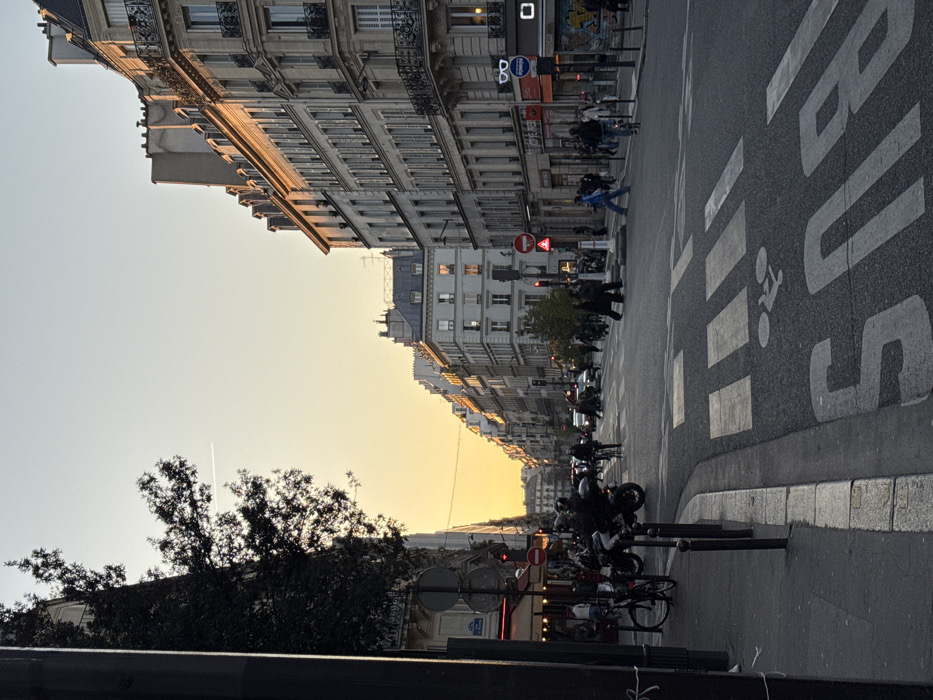 The image depicts an urban street scene in Paris, France, at sunset. A wide, multi-lane street, likely a boulevard, extends into the distance, with the low, setting sun illuminating the right side of the scene. The sky transitions from a bright orange-yellow near the horizon to a lighter blue overhead, with a faint white contrail visible.
On the right, a continuous row of multi-story, light-colored Haussmannian buildings with classic French balconies and dark, sloping roofs is brightly lit by the golden hour sun. Storefronts are visible at ground level, including one with a blue circular sign featuring white stylized glasses. On the left, buildings are mostly in shadow, partially obscured by a large, dark-leafed tree and dense ivy on a building facade. A restaurant or café with red awnings and outdoor seating is present on this side, with people seated outside.
The asphalt street features a prominent white pedestrian crosswalk in the mid-ground. In the foreground, large white letters spelling "BUS" are painted on the road, accompanied by a white bicycle symbol, indicating a shared lane. Black bollards line the edge of the sidewalk on the left.
Numerous individuals populate the scene. Several pedestrians are actively crossing the street via the crosswalk, while others walk on the sidewalks. Various vehicles are present: multiple motorcycles or scooters are stopped or moving, a bicycle is parked on the left sidewalk, and other bicycles are being ridden. Cars are visible further down the street. Traffic lights are present, with one showing a red signal on the right side of the intersection. A red circular "no entry" sign is also visible on the right.
