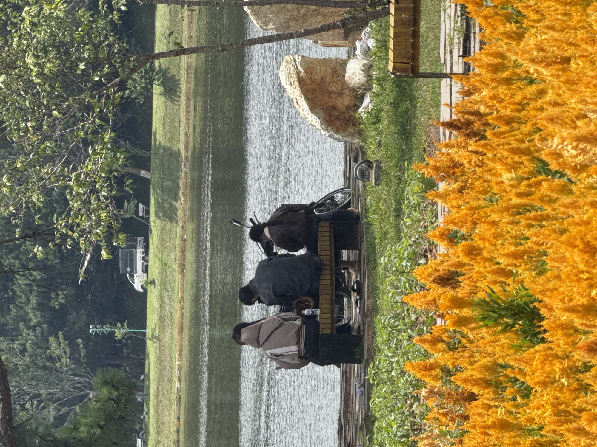 In Da Lat, Vietnam, a group of four individuals is seated on a wooden bench adjacent to a body of water. Two individuals are seen from behind, wearing jackets, with one person in a hooded jacket and another in a dark jacket. A third individual, also seen from behind, is wearing a dark jacket and appears to be looking at a phone. The fourth person is partially visible from the side, wearing a dark jacket. In front of the bench, a scooter is parked. The bench and scooter are situated on a wooden platform. A field of vibrant orange flowers dominates the foreground, with lush green grass and scattered rocks behind the bench. In the background, a truck is visible on a road alongside a tree-lined expanse of grass, with a body of water reflecting the sky.