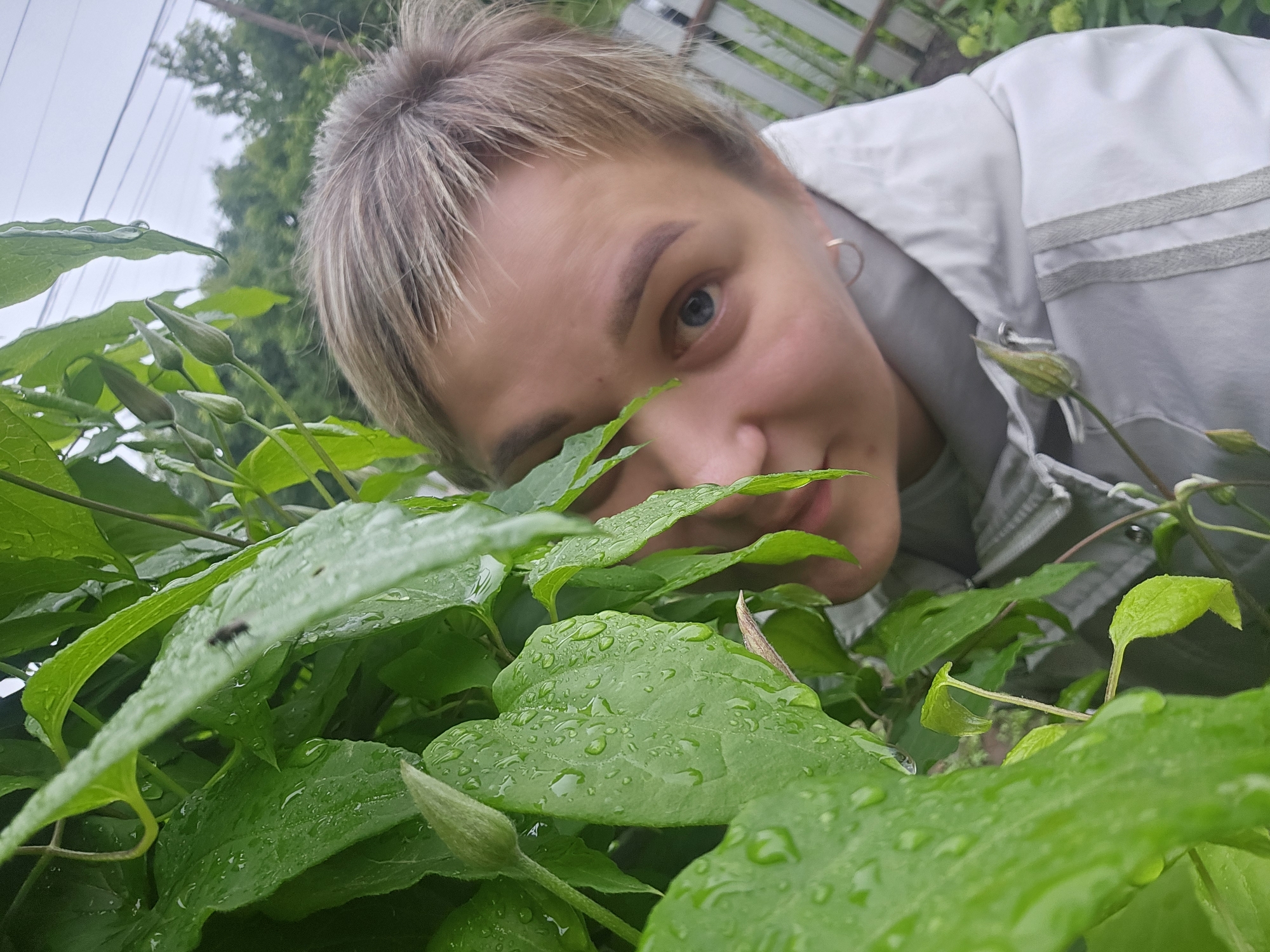 In Kalinovka, Russia, a close-up, medium shot captured outdoors shows a person's face peeking from behind wet, green leaves. The person, with short, blondish-gray hair, has their right eye visible, looking directly at the camera with a curious expression. Their left side of the face is partially obscured by the foliage. The leaves are covered in water droplets, indicating recent rain. In the background, out of focus, are trees and a white wooden fence, along with power lines crisscrossing the sky, suggesting a rural or suburban setting. The person is wearing a light-colored hooded jacket. A small insect is visible on one of the leaves in the foreground.