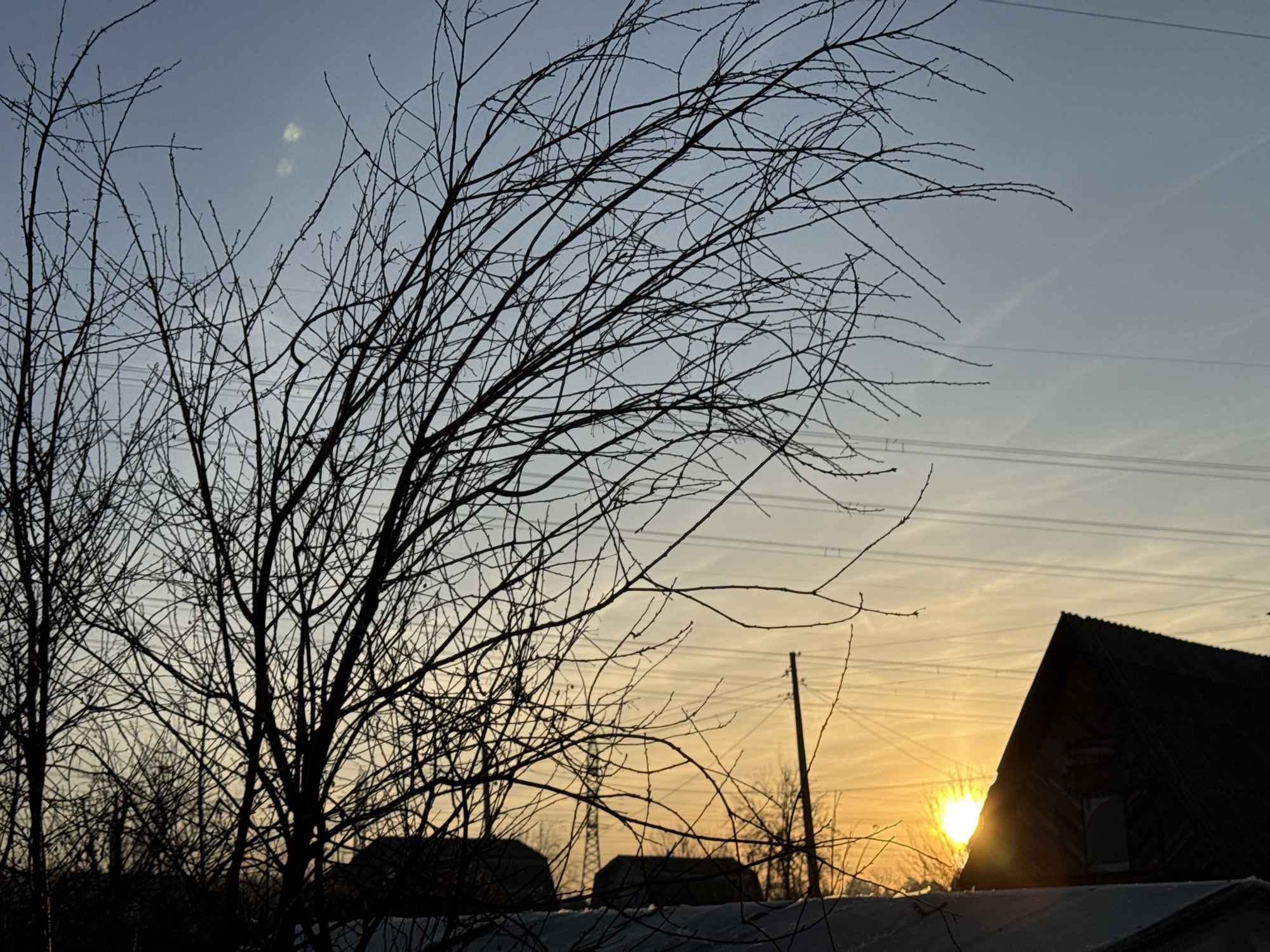 The image depicts a winter scene in Chaikovsky, Russia at dawn or dusk. A stark silhouette of bare trees dominates the left half of the frame, contrasted against a pale sky tinged with orange near the horizon. Overhead power lines stretch across the upper right quadrant. Partially obscuring the setting sun, the dark silhouette of a building's roofline is visible to the right. A low fence is visible in the foreground covered with snow.