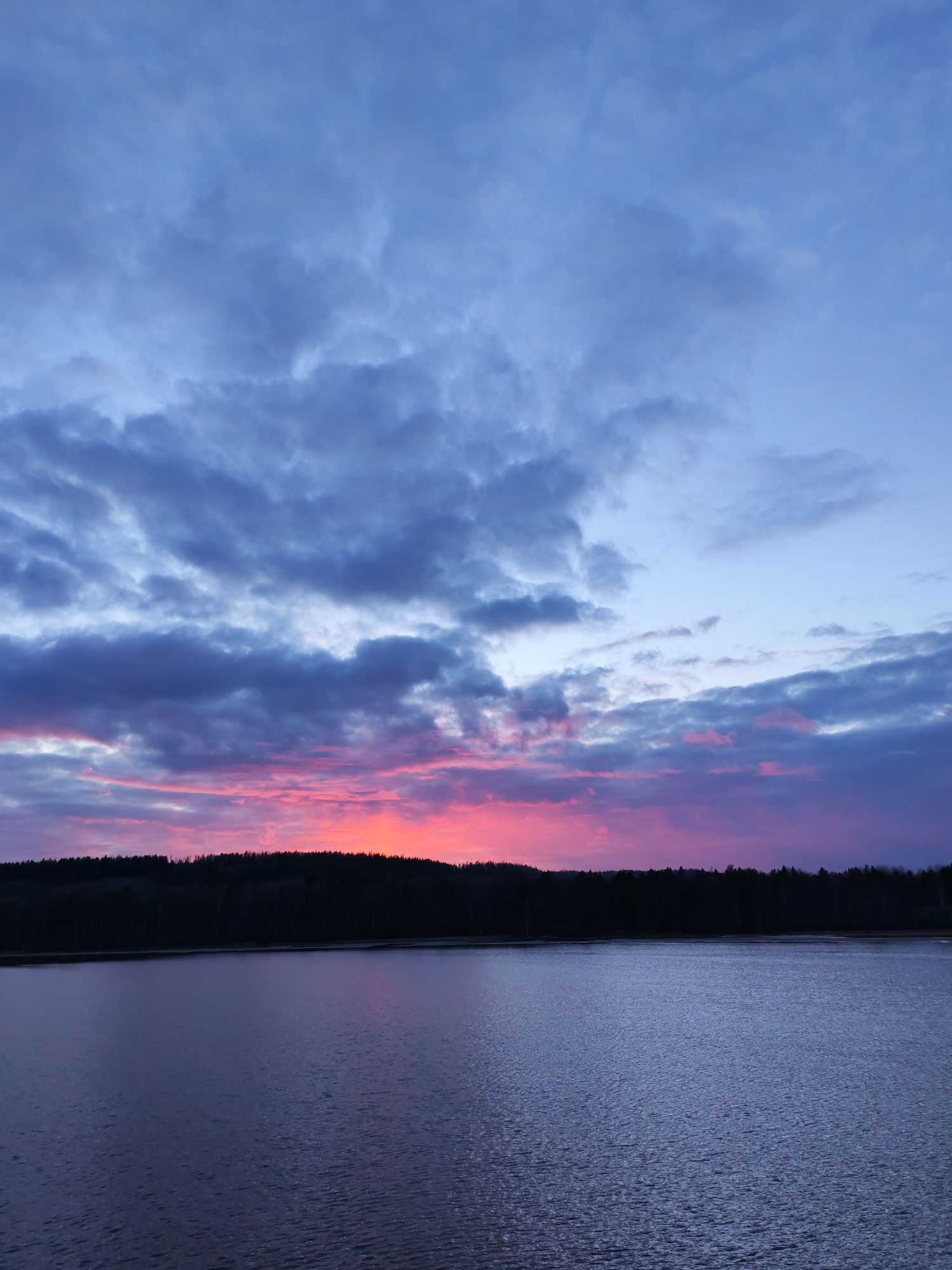 The image presents a tranquil and dramatic natural landscape, likely at either dawn or dusk, in Shcheleiki, Russia. The scene features a vast body of water in the foreground, stretching towards a distant, dark forest on the horizon.
The sky is the most prominent subject, filled with an expansive cloud cover that transitions in color from the top to the horizon. The uppermost part of the sky is a soft, pale blue, gradually deepening into various shades of blue and grey as it descends. Towards the horizon, directly above the silhouetted tree line, the clouds are intensely illuminated by either the setting or rising sun, showcasing a vibrant burst of red, orange, and hot pink hues. This fiery band of color gradually fades into softer pinks and purples, mixing with the darker blues and greys of the surrounding clouds.
The forest forms a stark, dark silhouette against the luminous sky, its densely packed trees appearing almost black and defining the horizon line. The body of water, likely a lake or a wide river, is calm but exhibits subtle ripples across its surface. It predominantly reflects the deeper blues and purples of the upper and middle sky, with faint hints of the warmer pink and orange light closer to the horizon. The low light conditions create a peaceful and slightly melancholic atmosphere. No people or visible text are present in the image.