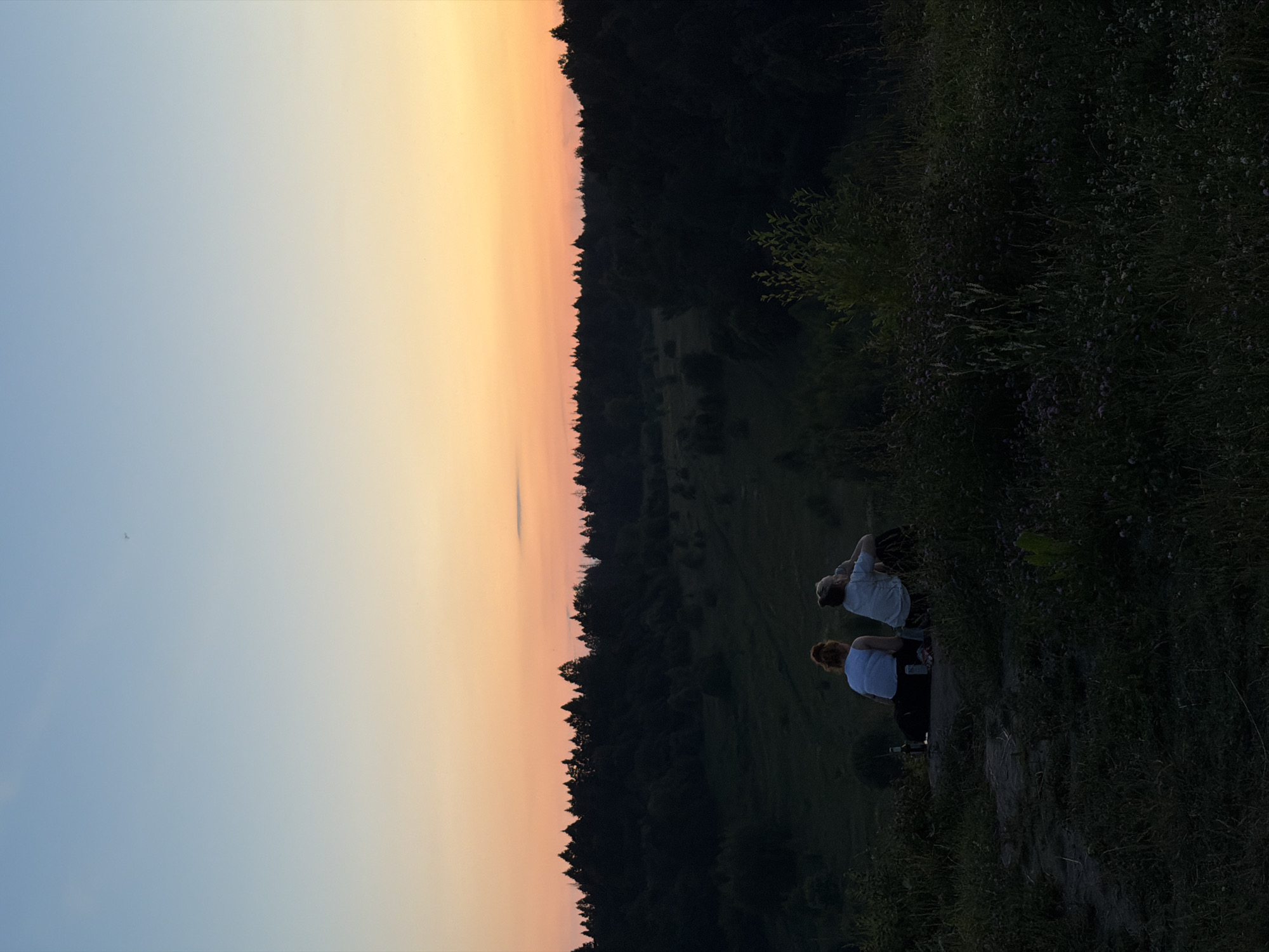 Two individuals, silhouetted against a dusky sky, sit on a grassy knoll overlooking a valley with a dense forest line in the distance. The sky transitions from a pale blue at the top to hues of orange and yellow near the horizon, indicating either sunrise or sunset. The foreground is dominated by dark foliage and wildflowers. The individuals are facing away from the camera, their postures suggesting relaxation or contemplation. One individual has red hair and wears a white tank top, while the other has lighter hair and wears a light-colored shirt. A bottle and a few other objects are visible near them on the ground. The overall scene is peaceful and natural. This location is identified as being in the city of Krasnogorsk, Russia.