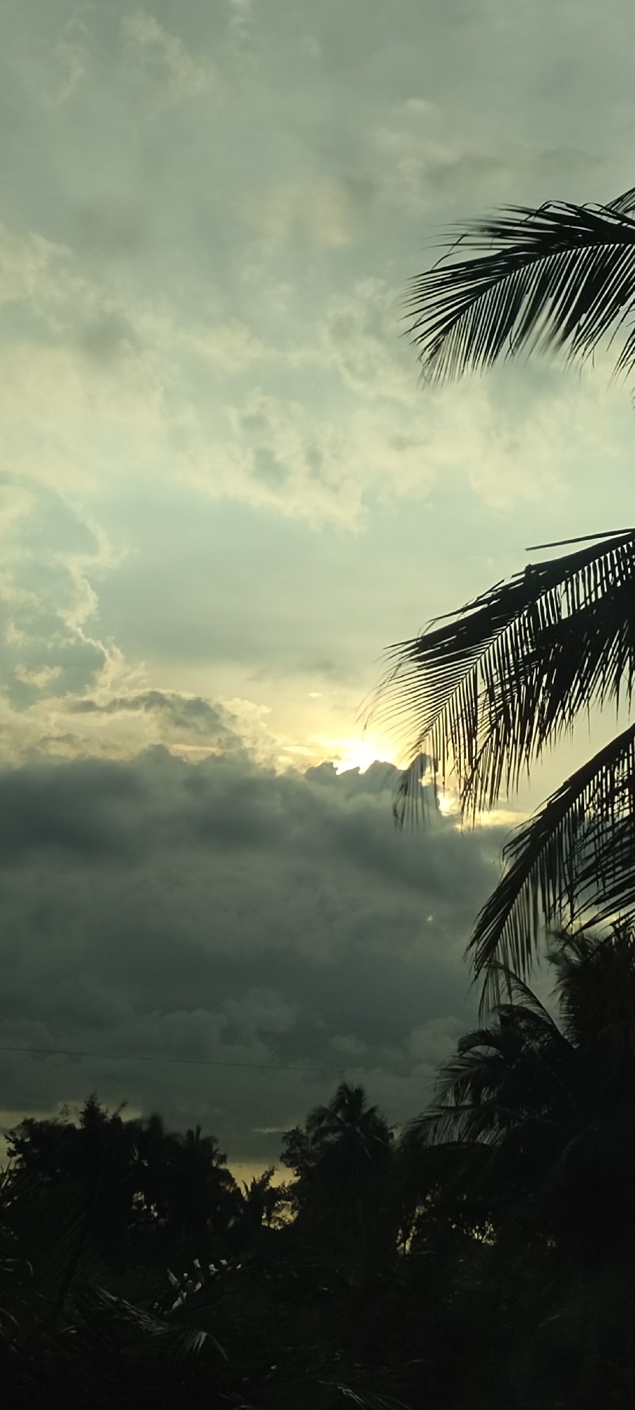 The image captures a cloudy sky with the sun partially obscured by dark clouds. Silhouettes of palm tree fronds are visible in the foreground and midground, framing the sky. The lower portion of the image shows the dark silhouettes of trees and vegetation, suggesting a natural or tropical environment. The overall lighting indicates either early morning or late afternoon. This scene is located in Aluekeujruen, Indonesia. There are no people or specific actions depicted.