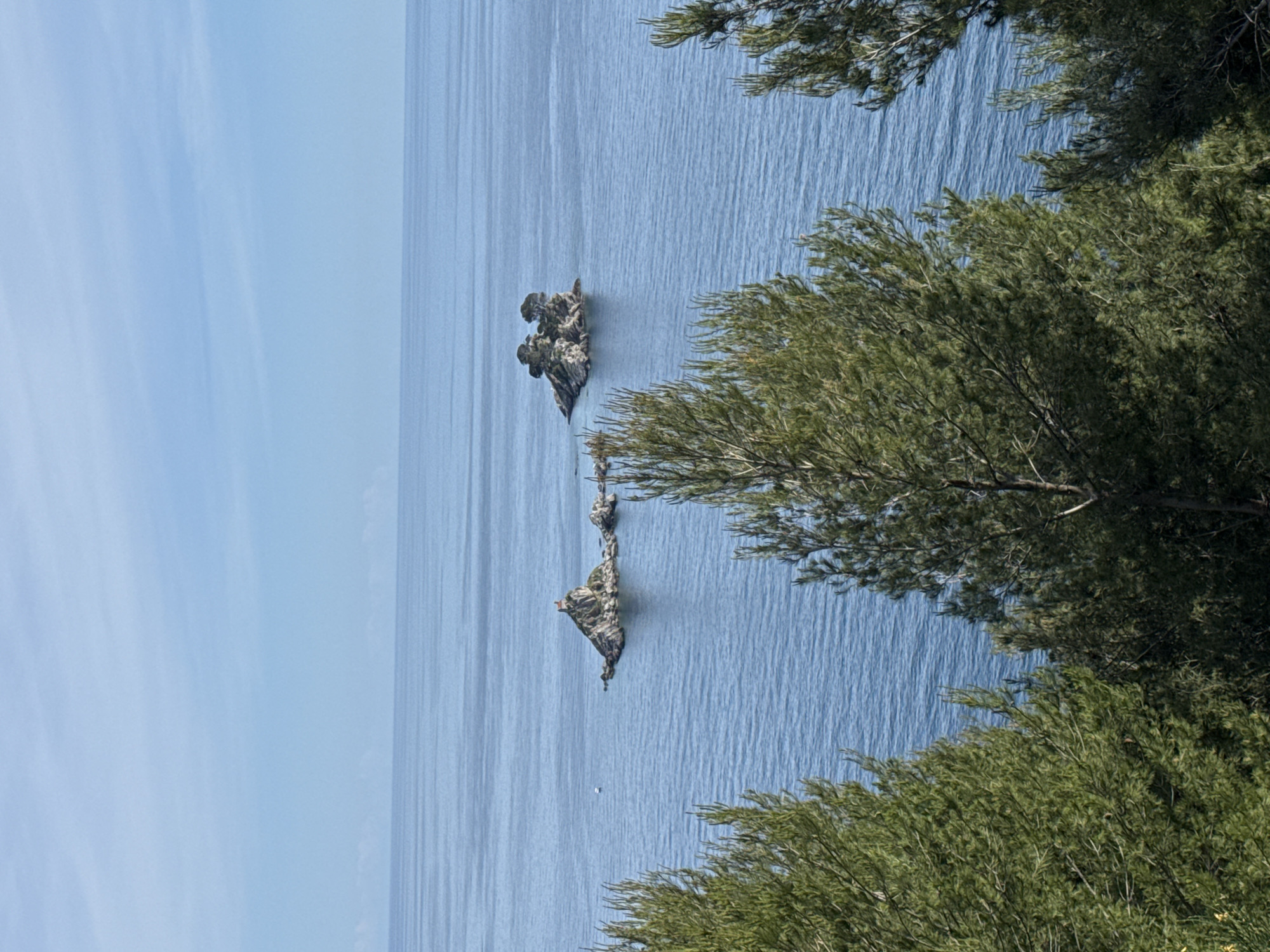 A landscape photograph, oriented vertically, depicts a scene in Mirište, Montenegro. The view is of the Adriatic Sea, which occupies the majority of the frame. A few rock formations jut out of the water. Two primary rock formations are visible, one near the top third and another slightly lower in the frame. Both appear to be jagged and irregular in shape. The sky, a pale blue, is visible in the upper left corner. Green trees frame the right side of the shot. The lighting appears to be soft and diffused, suggesting an overcast day.