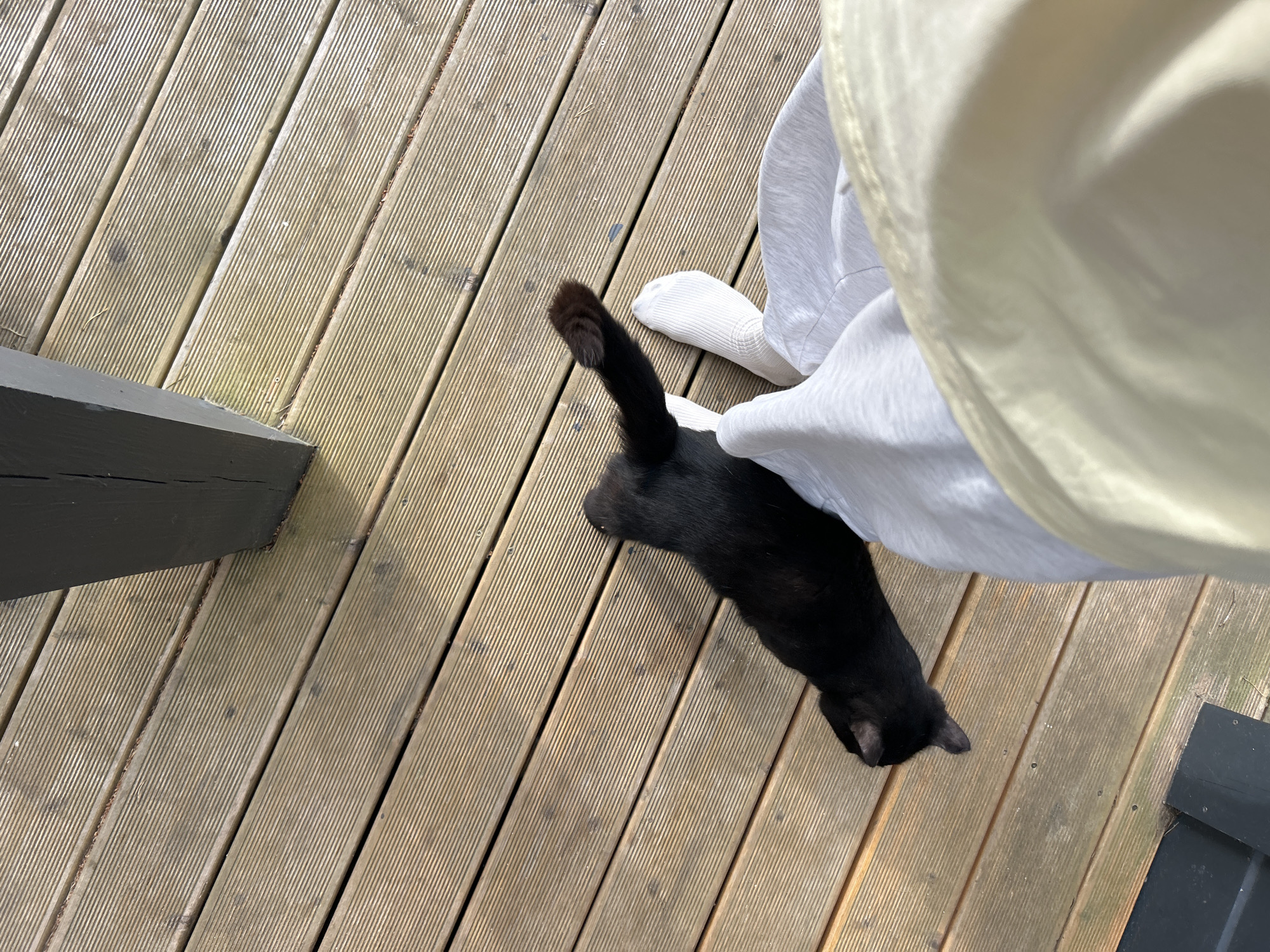 A black cat is lying on its side on a wooden deck. The cat's back is to the viewer, and its head is turned to the left. The cat's tail is raised in the air and its hindquarters are slightly elevated. A person's legs, wearing white socks and light gray sweatpants, are visible in the lower right corner of the image. The deck is made of weathered wooden planks, and a dark vertical post is visible in the upper part of the image. The scene appears to be outdoors.