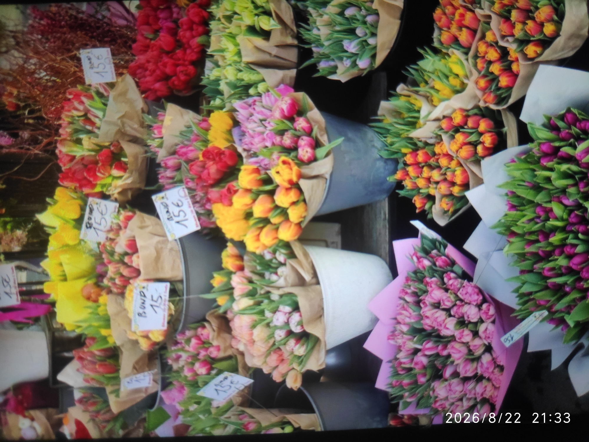 The image shows a close-up of a flower stand with numerous bouquets of tulips. The tulips are in various colors, including red, pink, yellow, orange, and purple. Some of the bouquets are wrapped in brown paper, while others are in buckets. Several price tags are visible, with one clearly reading "15€". The overall impression is one of abundance and variety. The scene appears to be outdoors, possibly at a market, given the natural lighting and the presentation of the flowers. The bottom right corner of the image contains a timestamp that reads "2026/8/22 21:33", indicating when the photo was taken. There are no people visible in the image. The location in Ceporan, Indonesia is not ascertainable from the visual information presented in the image.