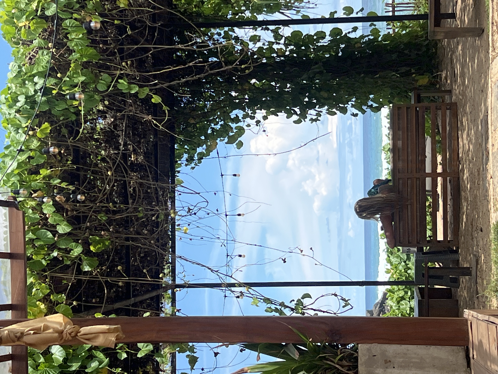 The image depicts a scene overlooking the ocean in Goviyapana, Sri Lanka. A woman with long, blonde hair sits on a wooden bench. Lush green foliage frames the view of the ocean and sky. A wooden structure, possibly part of a pergola or awning, is visible, with vines and small lights intertwined. The environment is natural, with a sandy ground area and greenery extending to the edge of the frame.