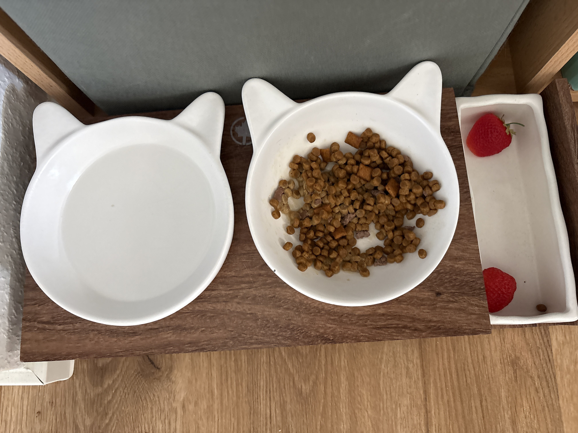 The image shows three white cat-shaped bowls on a wooden surface. The bowl on the left is filled with water. The bowl in the middle is filled with dry cat food. The bowl on the right contains two strawberries. The background shows a teal fabric and a wooden structure. The scene appears to be indoors, likely in a home environment in Bönnigheim, Germany. There are no people visible in the image, and no text is present. The lighting suggests it could be daytime, with natural light illuminating the scene. The focus is on the bowls and their contents, indicating a potential feeding or snack setup for a pet.