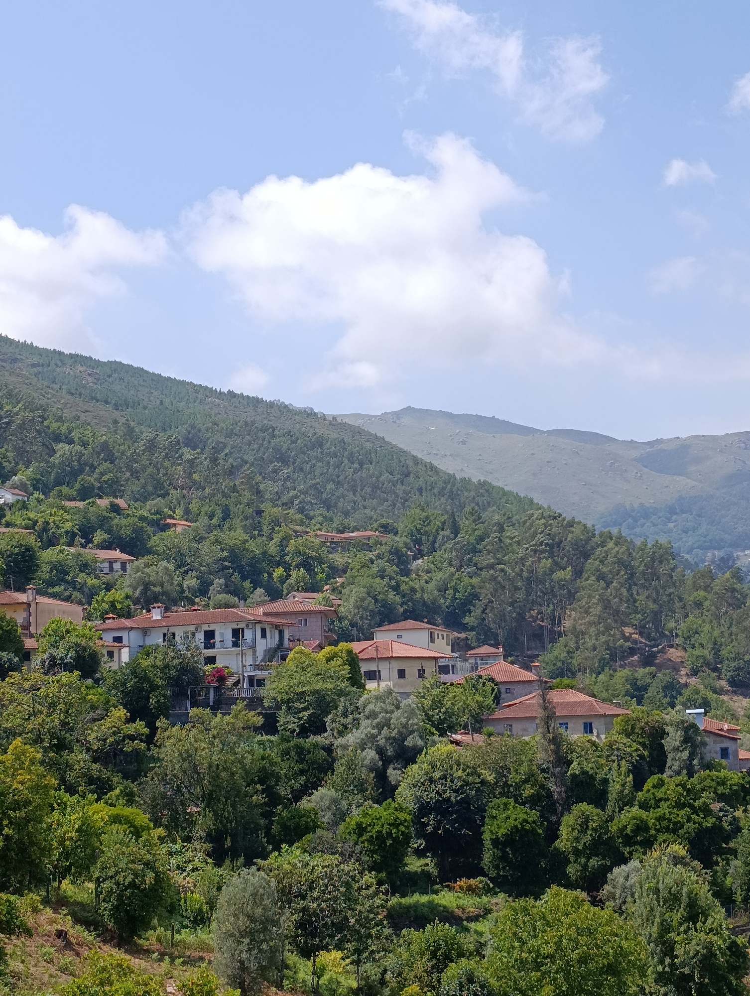 A high-angle, wide shot captures a village nestled into a verdant mountainside under a partly cloudy blue sky. The village features numerous residential buildings, characterized by their red-tiled roofs and white or light-colored facades. These homes are interspersed with dense green trees, creating a harmonious blend of architecture and nature. The mountainside is heavily forested with a mix of coniferous and deciduous trees, rising steeply in the background. Further in the distance, the rolling hills are covered in a lighter, sparser vegetation, with rocky outcrops visible on the peaks. The scene evokes a sense of tranquility and rural charm, indicative of a small village in the Portuguese countryside, likely Terras de Bouro, Portugal, known for its natural beauty and mountainous terrain. There are no people or animals visible in the frame.