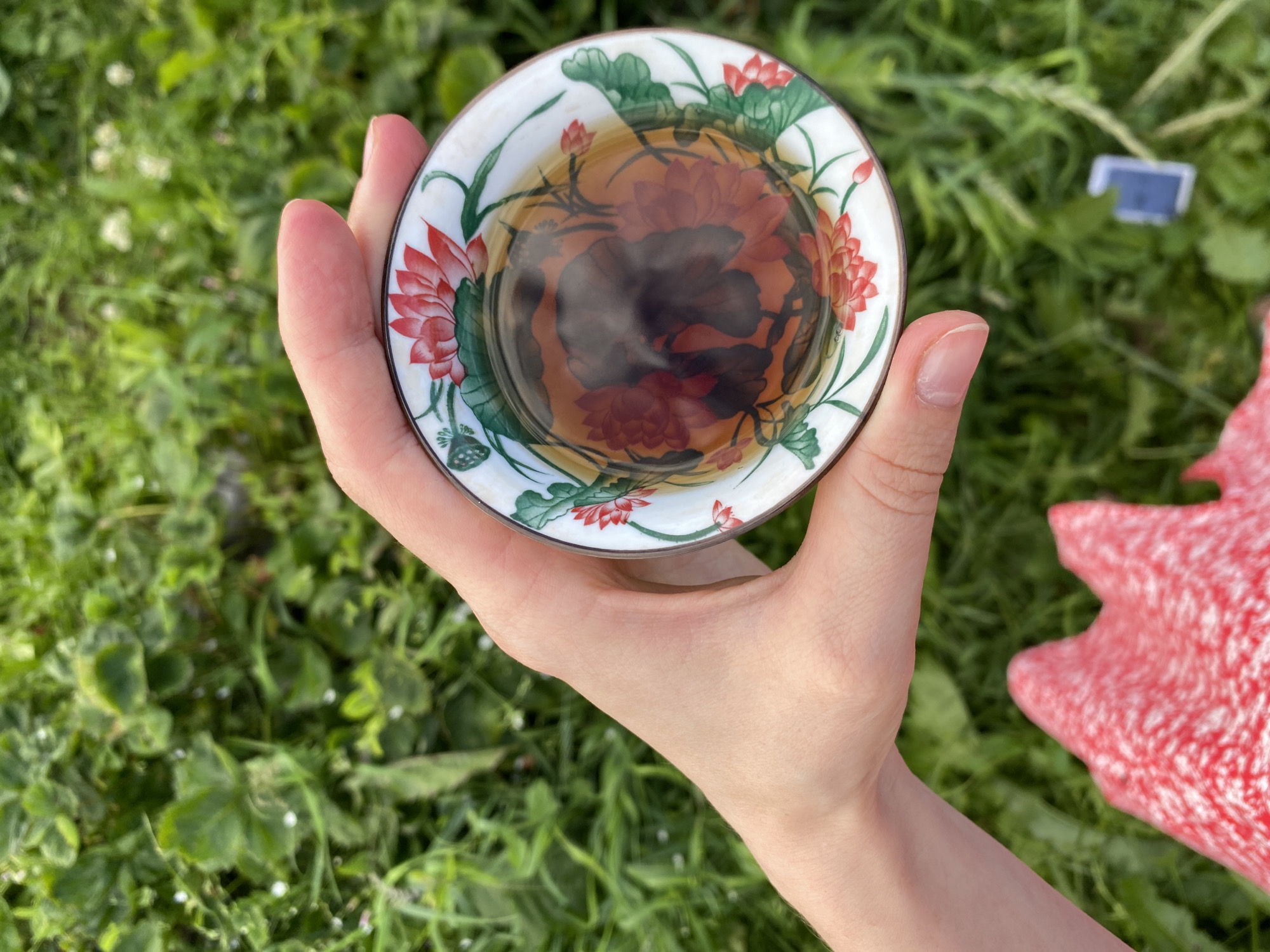 A hand holds a small, decorative teacup filled with a dark liquid, likely tea, outdoors. The teacup is white with a rim and features a colorful design of red lotus flowers and green leaves. The liquid in the cup has a reddish-brown hue and appears to be steaming, suggesting it is hot.
The hand holding the teacup is fair-skinned and appears to be that of a young person. The background is a lush, green grassy area, possibly a lawn or meadow, with some small white flowers scattered throughout. In the distance, a small blue object is visible amongst the greenery. To the right of the hand, a bright red object with a textured surface, possibly a toy or a piece of fabric, is also present.
The scene suggests a moment of relaxation or enjoyment, perhaps a tea break in a natural setting. The lighting indicates it is daytime, and the presence of steam suggests a cool or temperate weather. The overall impression is peaceful and serene, with a touch of natural beauty. There is no visible text in the image.