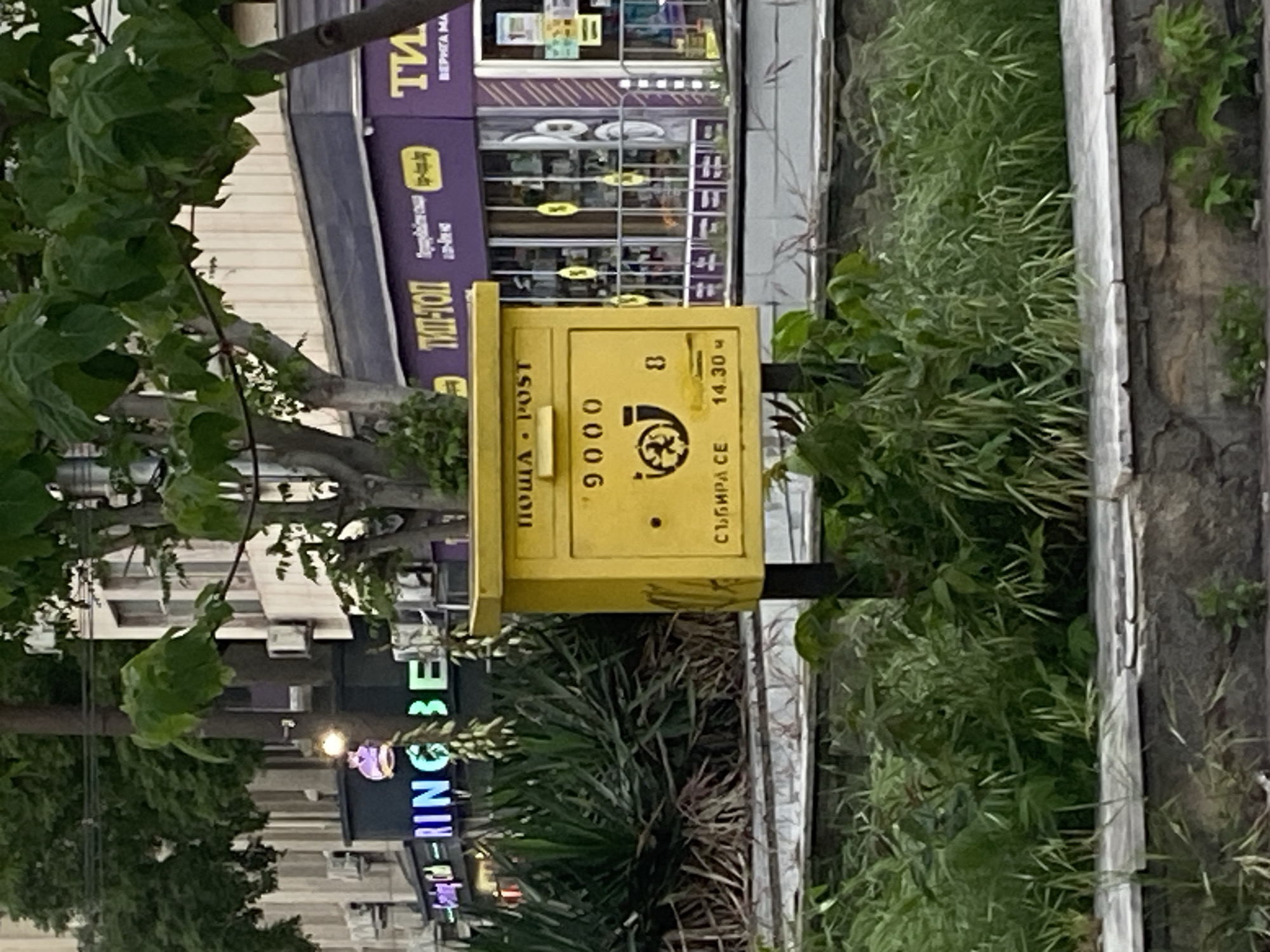 The image shows a yellow Bulgarian почта (post) box on a street in Varna, Bulgaria. The box has the postal code "9000" and a logo with the number "8." The text "СЪБИРА СЕ 14.30 ч" indicates the collection time of 2:30 PM. The mailbox is positioned along a sidewalk bordered by overgrown vegetation on the right and a street with commercial establishments on the left. The building across the street has a sign that reads "ТИП-ТОП." Other signs with neon lights are visible in the background, as well as buildings. There are no people in the image.