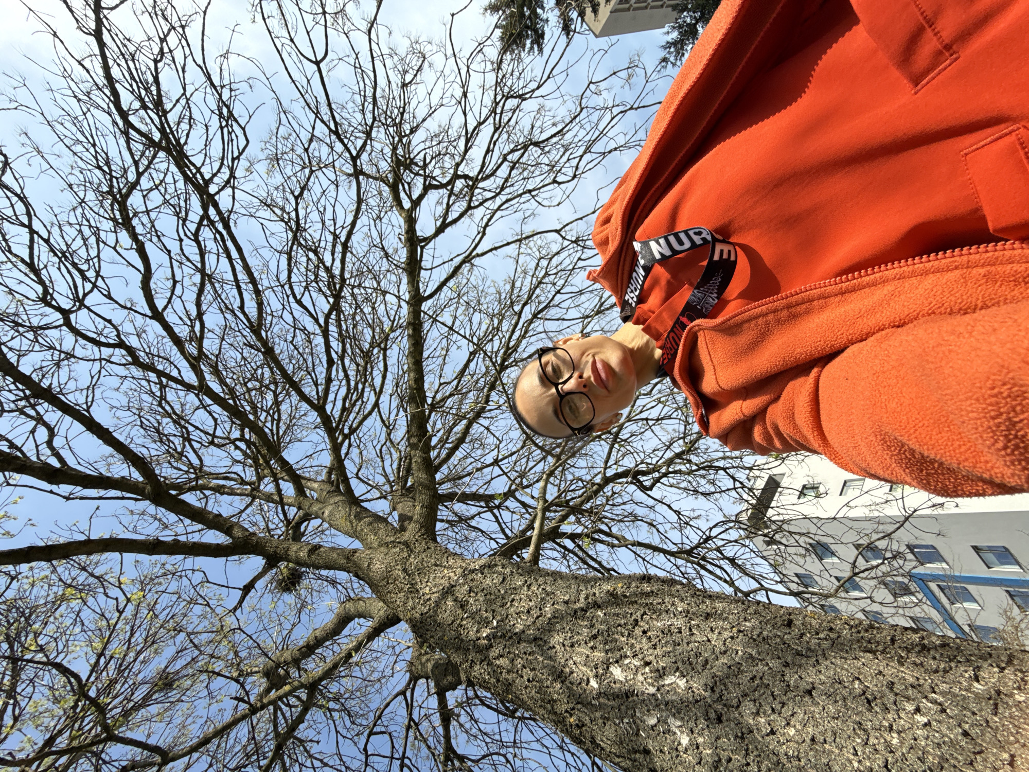 This upward-angled photograph, taken in Pleven, Bulgaria, captures a person looking down into the camera with a playful expression, set against a backdrop of a large tree and a clear blue sky.
The central subject is a mature tree with a thick, textured trunk and an extensive network of bare branches, some of which show very small, light green buds, suggesting early spring. The tree's canopy fills much of the sky. In the upper right corner, a person's head is visible, wearing round, dark-rimmed glasses. They have short dark hair and are seen from a low perspective, looking downwards with their tongue playfully sticking out. They are wearing a bright orange hooded fleece jacket, and a black and white strap or band on the shoulder of the jacket has the text "NUR" and partly "NURSE" visible.
In the background, on the far right, part of a modern building with a white and grey facade and multiple windows is visible. The bright, clear blue sky indicates daytime with sunny weather. The overall impression is one of casual outdoor activity, with the low camera angle creating an engaging and dynamic portrait.