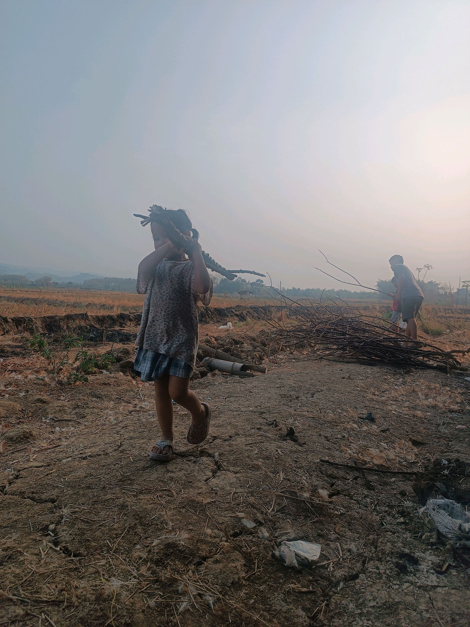 In Tambakromo, Indonesia, a young girl walks across a dry, cracked dirt ground, carrying a large stick over her shoulder. She is wearing a light-colored patterned t-shirt and a blue plaid skirt. Behind her, a slightly older person, wearing a dark t-shirt and shorts, is gathering more sticks from a pile on the ground. The environment is rural, with dry fields and hills visible in the distance under a hazy sky. The scene appears to be a rural area where wood is being collected, possibly for fuel.