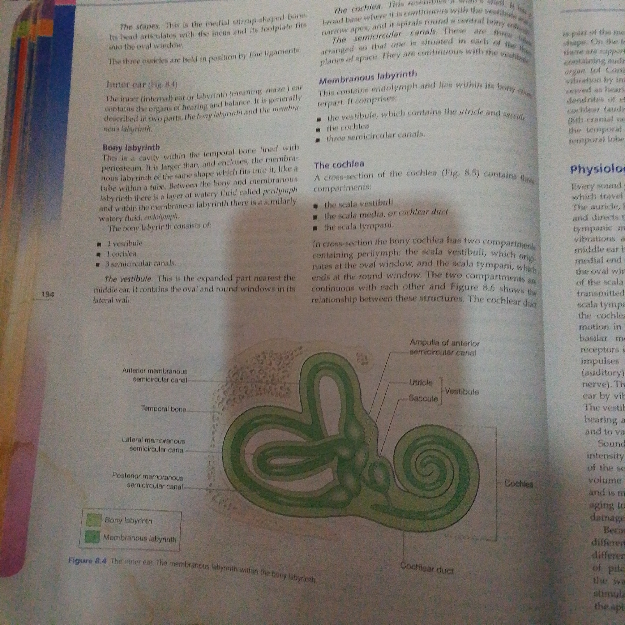 The image displays a diagram of the inner ear, specifically showing the bony and membranous labyrinths. It is part of a textbook or educational material. The diagram illustrates the cochlea, semicircular canals, vestibule, utricle, and saccule, with labels indicating their positions and connections. The text accompanying the diagram provides detailed descriptions of these structures and their functions. There is no information in the image related to the city of Jalingo, Nigeria.