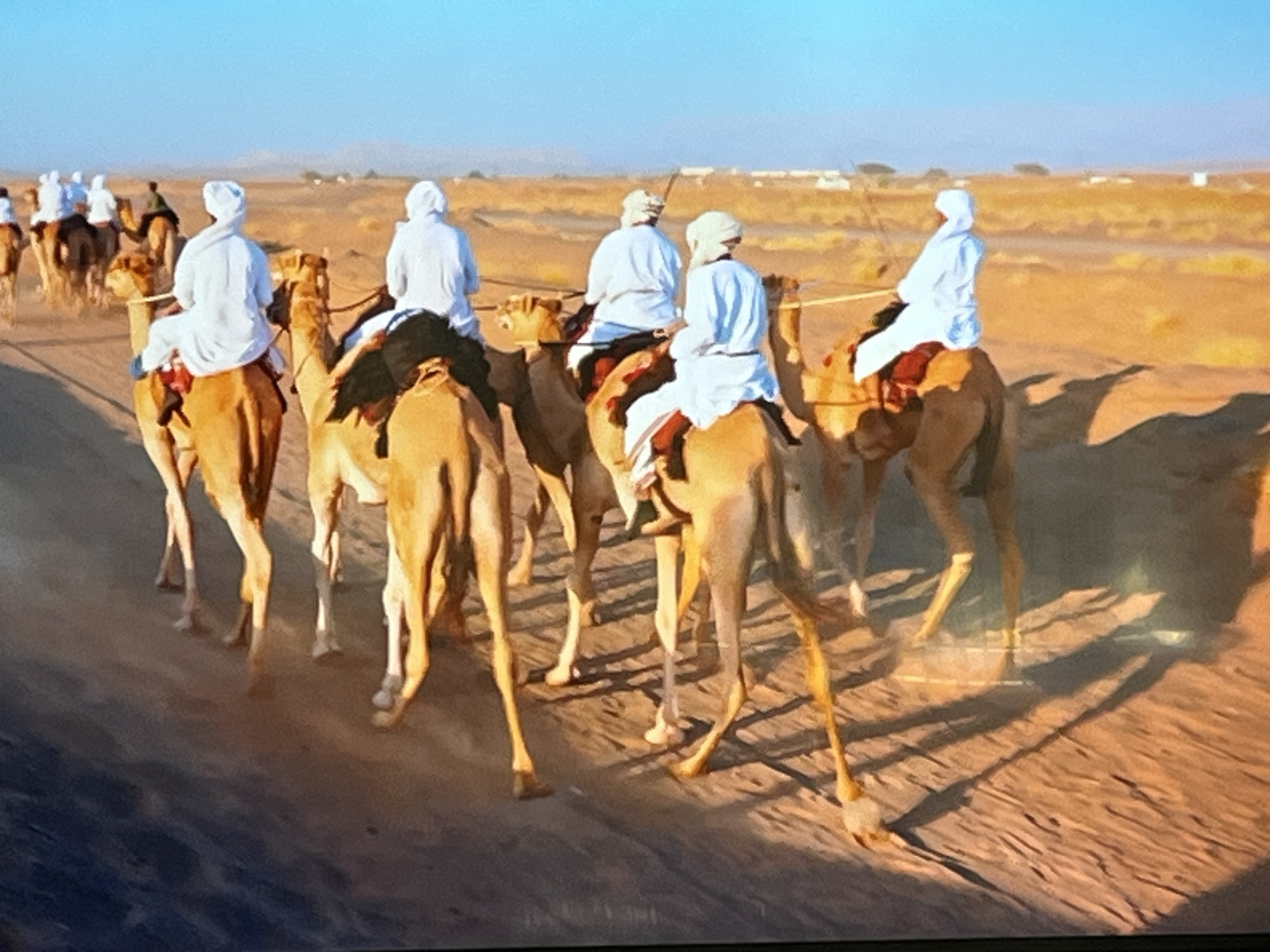 The image depicts a caravan of camels being ridden by people in traditional attire. The subjects are all wearing white robes and head coverings, suggesting a warm, arid climate. They are positioned on a sandy terrain, with sparse vegetation and distant, low-lying hills visible in the background, indicating a desert or semi-desert environment. The sun is casting long shadows, suggesting it is either early morning or late afternoon. The overall mood appears peaceful and traditional, with the camels walking in a line. There is no visible text in the image. The provided location context of Kharkiv, Ukraine, is inconsistent with the visual cues of a desert landscape.