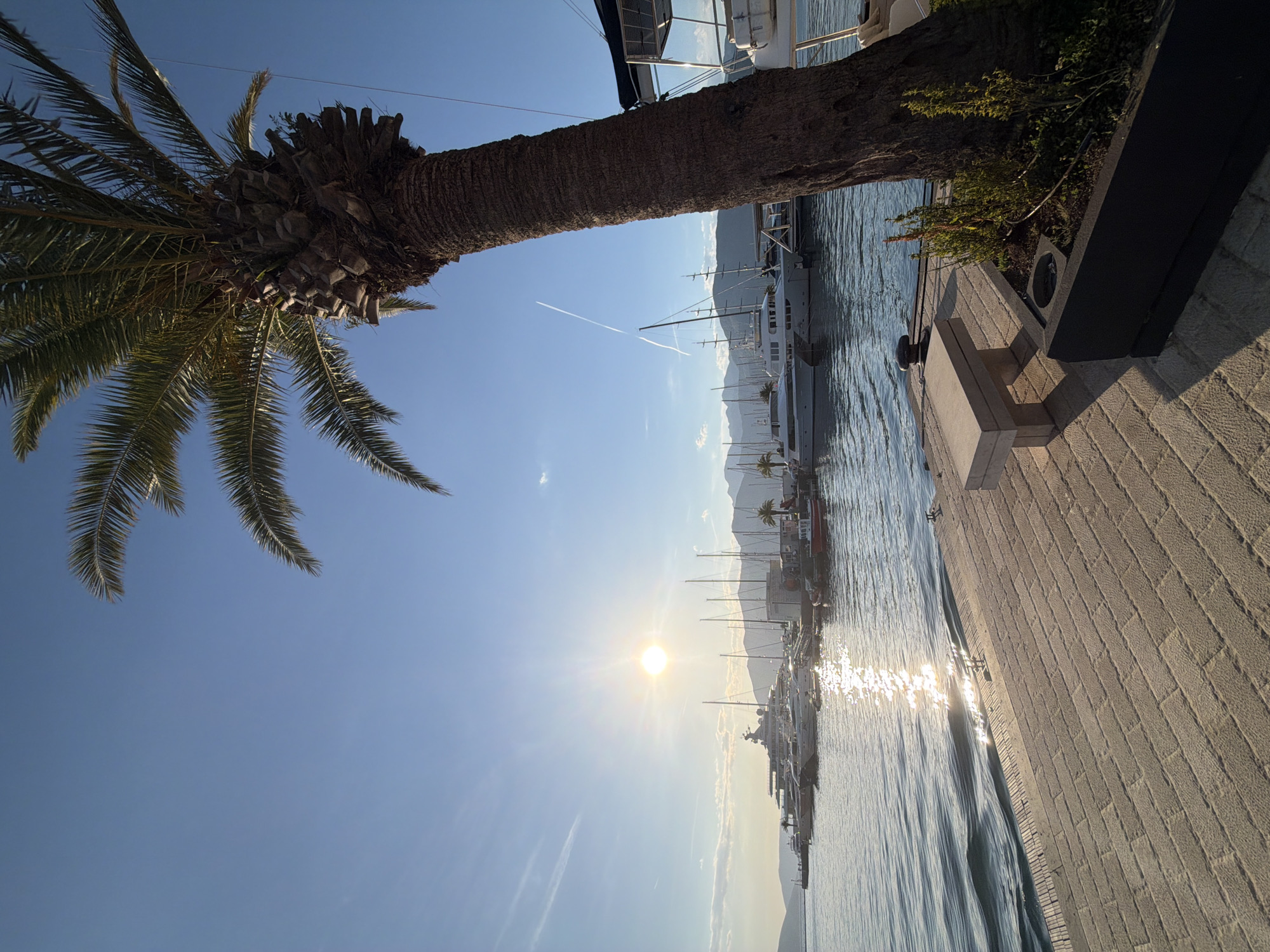 The image depicts a view of a marina in Tivat, Montenegro, under a clear blue sky. A palm tree is featured prominently in the foreground on the left, its trunk partially extending across the top of the frame. In the background, several yachts are docked along a quay, with mountains visible in the distance. The sun is positioned low in the sky, casting a bright glare across the water's surface and reflecting onto the paved pathway along the dock. A contrail is visible in the sky. The scene conveys a sense of tranquility and maritime activity.