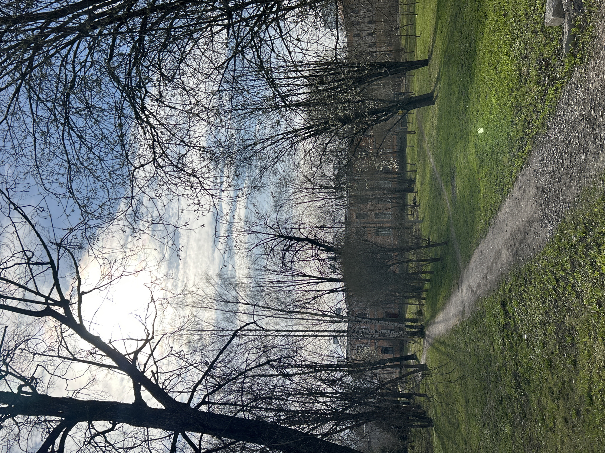 The image depicts a park landscape in Unknown, Unknown. A gravel path leads into the distance, bordered by green grass. Bare trees line the path, their branches silhouetted against a bright, cloudy sky. A building is visible in the background. No people are present.