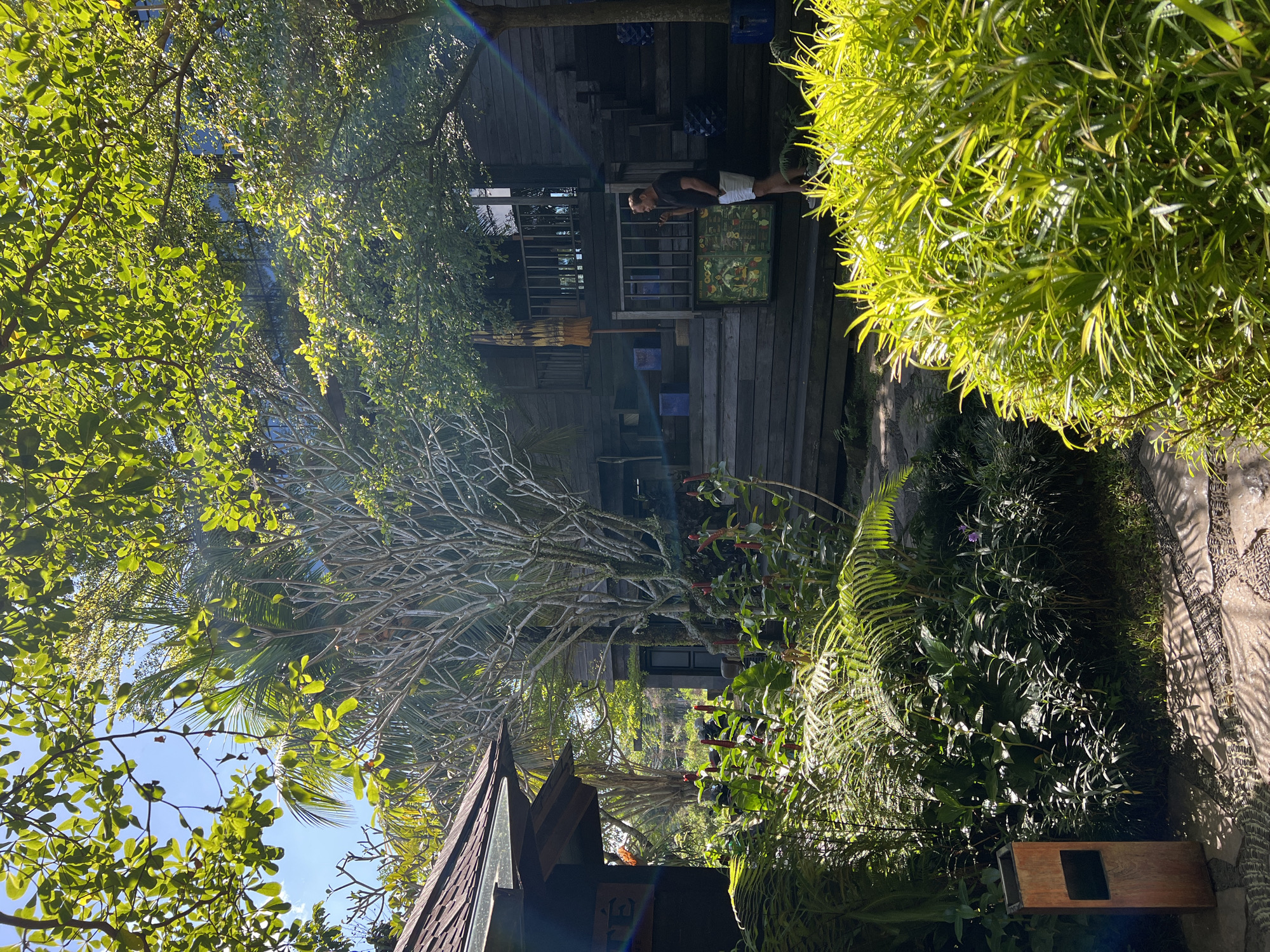 The image shows a wooden multi-story structure surrounded by lush greenery, potentially in a tropical environment. A man in a dark shirt and light-colored shorts stands on a wooden balcony on the second story. The structure has several windows and decorative elements on the exterior. The foreground features an assortment of plants, including ferns and other tropical foliage. The sky is visible through the leaves of trees, suggesting it is daytime. The location is Sukawati, Indonesia.