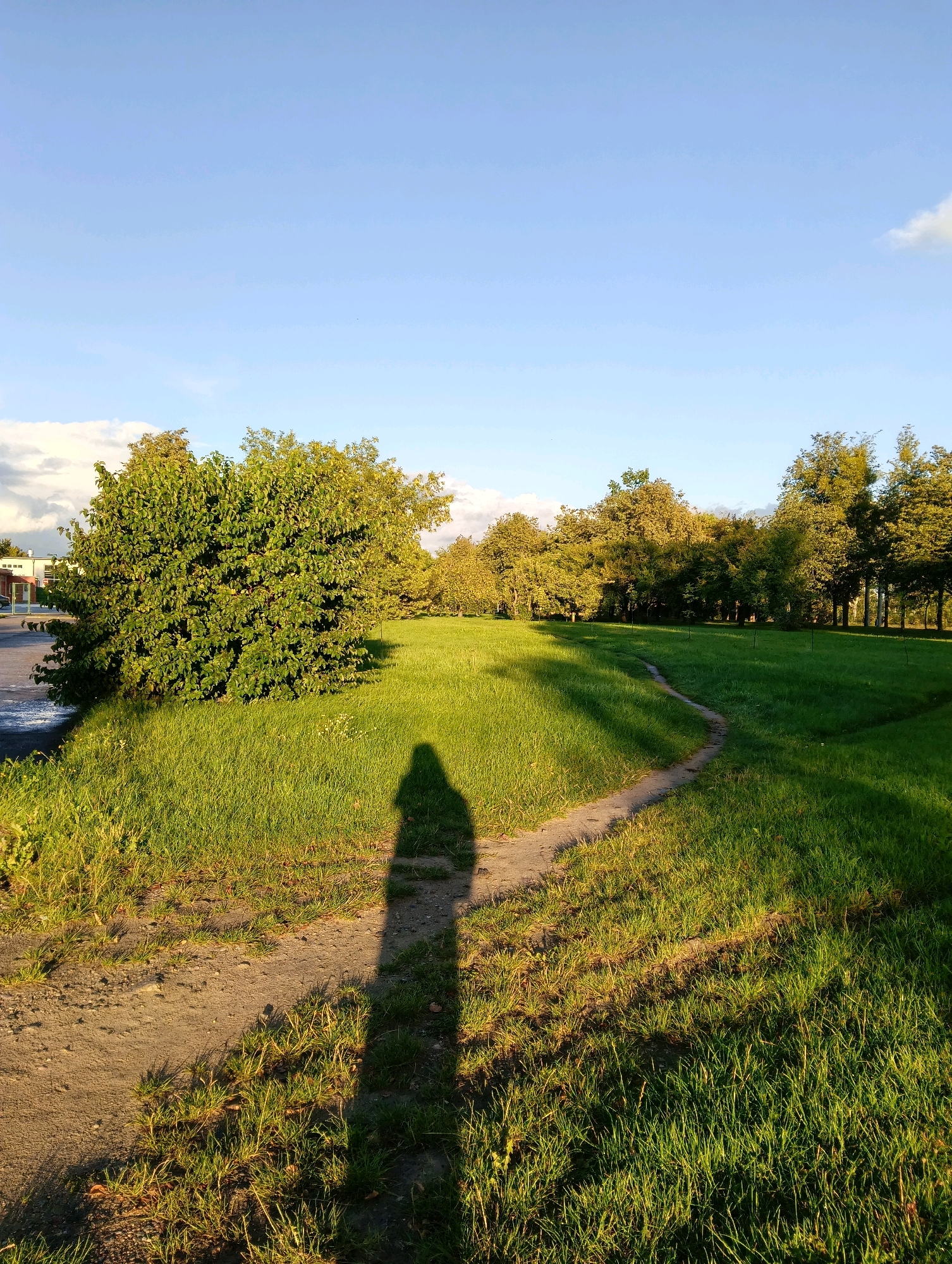 The image depicts a grassy park area with a winding dirt path. A long shadow of a person, presumably the photographer, is cast on the path and grass. Lush green trees and bushes are visible in the background, with a clear blue sky overhead, suggesting it is daytime. The lighting indicates a sunny day, possibly late afternoon given the long shadows. The scene appears to be a tranquil outdoor space, likely a public park or recreational area. The location is identified as the park area adjacent to the building of the Grodno State Agrarian University in Grodno, Belarus.
