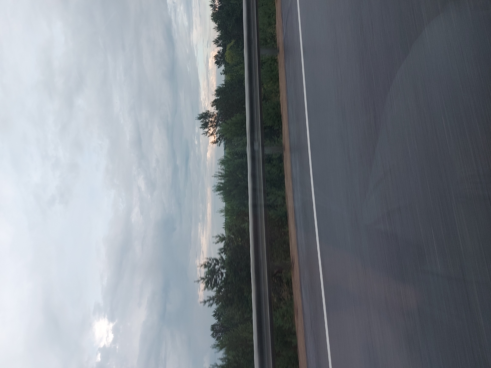 A photograph taken from a moving vehicle captures a view of a grey, cloudy sky above a dense line of dark green pine trees. A metal guardrail separates the road from the trees. The road surface is dark asphalt, wet, and shows faint white road markings. The location is Vasil'evka, Russia.