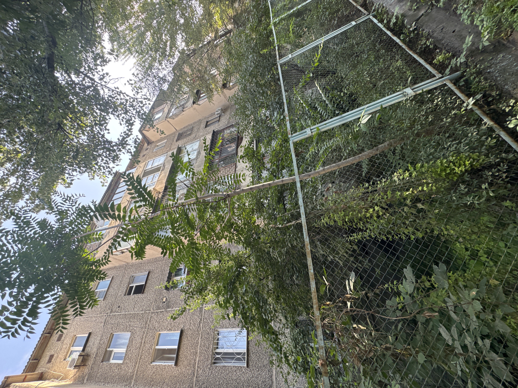 A low-angle, full shot captures a dilapidated apartment building in Bishkek, Kyrgyzstan. The concrete building is stained and weathered, with numerous windows, some barred, and air conditioning units attached to its facade. Lush green foliage, including trees and vines, aggressively encroaches upon the structure and its surroundings, obscuring much of the lower levels. A rusty, chain-link fence runs diagonally across the foreground, further separating the viewer from the building and the overgrown vegetation. The sky above is a pale blue with dappled sunlight filtering through the leaves of the trees.