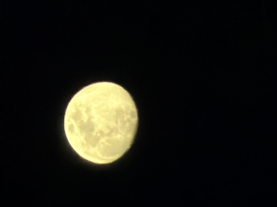 The image displays a bright, spherical celestial body, identifiable as the Moon, positioned in the upper-left portion of a uniformly black background, indicative of a night sky. The lunar surface appears pale yellow to off-white, exhibiting distinct topographical features consistent with craters and maria, rendered as variations in luminosity and texture. No other objects, individuals, or terrestrial elements are present within the frame. The image provides no visual information to determine a specific ground-level location, therefore, its origin within the city of Tel-Aviv, Israel, cannot be ascertained from the visual data.