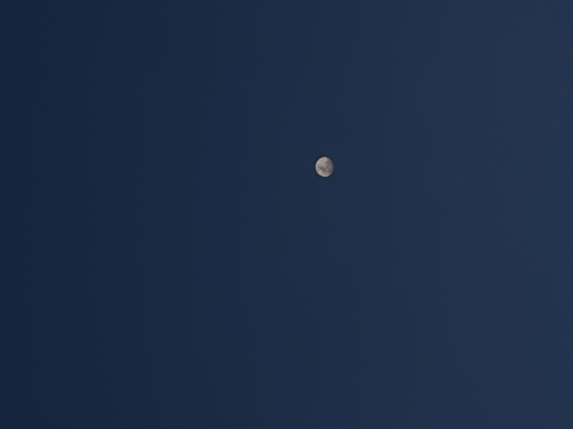 The image features a minimalist composition dominated by a deep blue sky. The central subject is the Moon, visible as a bright, spherical object with discernible craters and surface textures. It is positioned slightly above the center of the frame. The sky is a uniform, dark indigo color, suggesting either twilight hours (dusk or dawn) or a very clear night sky where ambient light still gives it a blue hue rather than pure black. There are no clouds, stars, or any other celestial bodies visible besides the Moon. The scene is devoid of people, objects, or any ground features, focusing entirely on the celestial element against the vast, clear expanse. No specific location cues are visible within the image itself to identify Tinaquillo, Venezuela, beyond the celestial elements. There is no visible text.