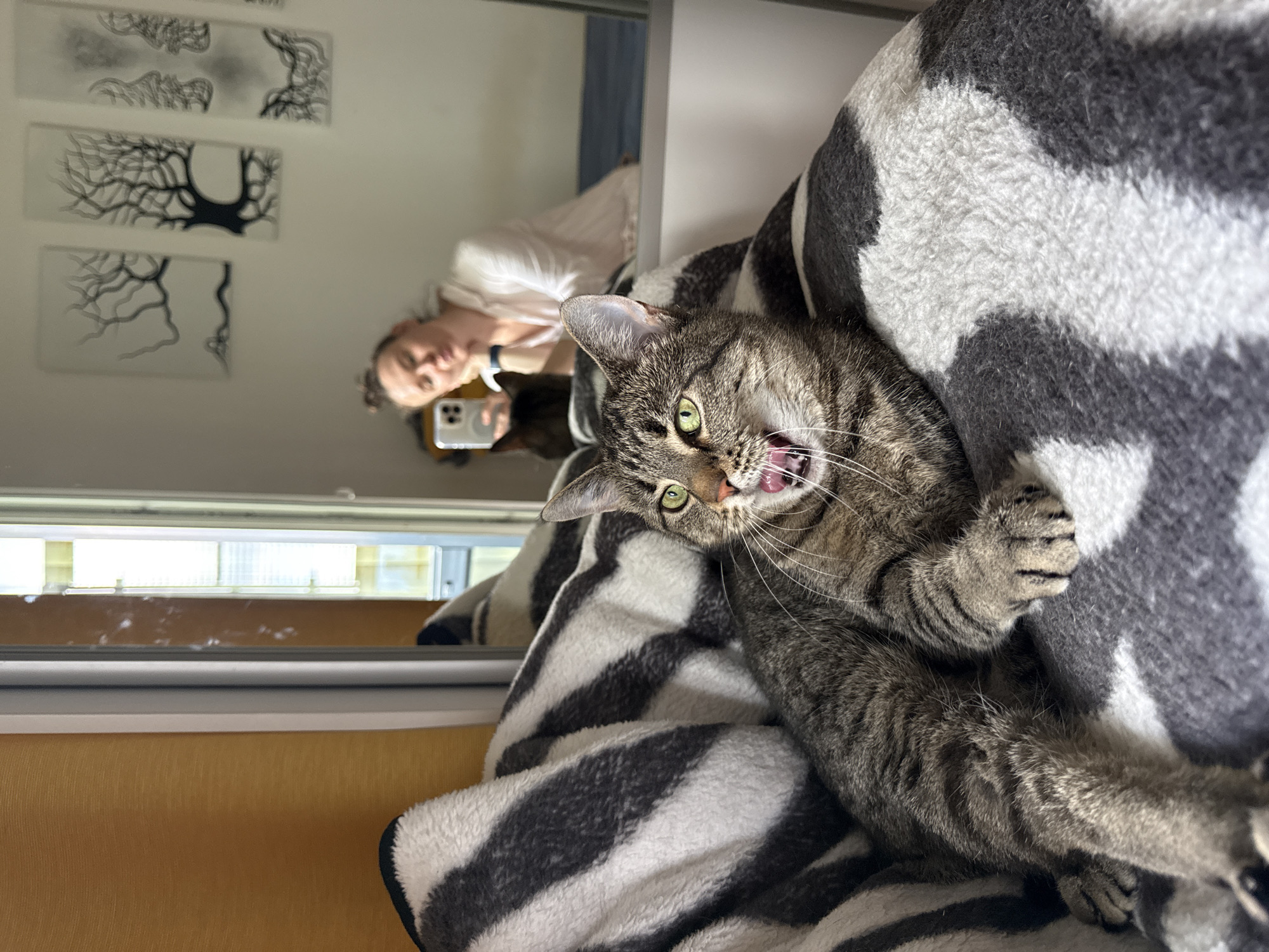 In a domestic indoor environment, a tabby cat with green eyes and its mouth open in a yawn or stretch is positioned in the foreground. The cat is lying on a blanket with a black and white striped pattern. In the background, reflected in a mirror or glass surface, a woman with her hair in a bun is taking a selfie with her phone. She is wearing a white shirt and leaning her head on her hand. Another cat, dark brown in color, is partially visible behind the woman's arm, also looking towards the phone. The background behind the woman appears to be a bedroom with a bed and artwork on the wall depicting stylized trees and faces. The scene does not contain any information to place it in Saint Petersburg, Russia.